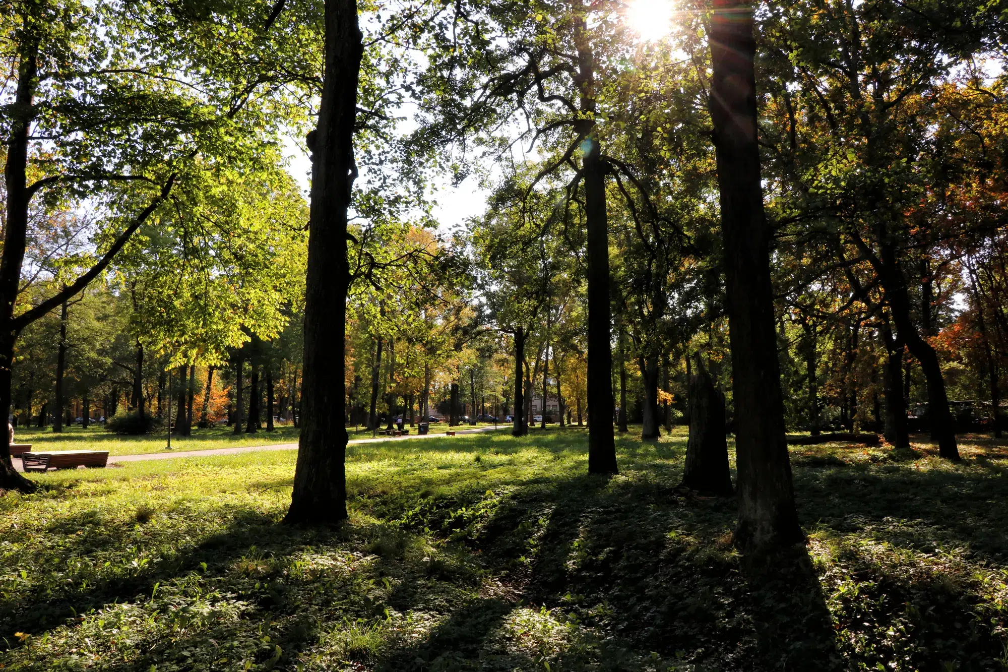 Kopli, Tallinn - Susta Park