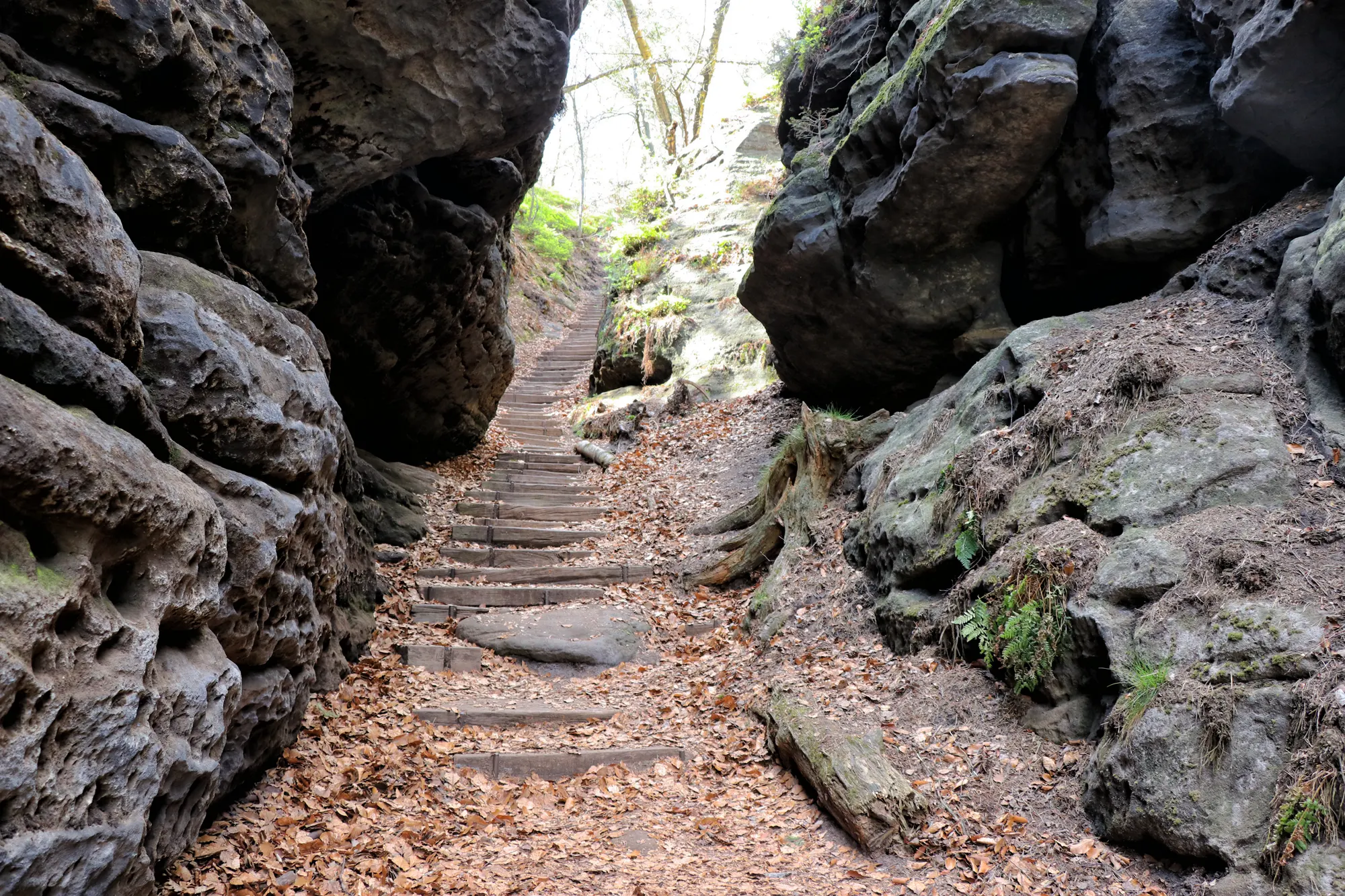 Malerweg Etappe 6 - Papststein