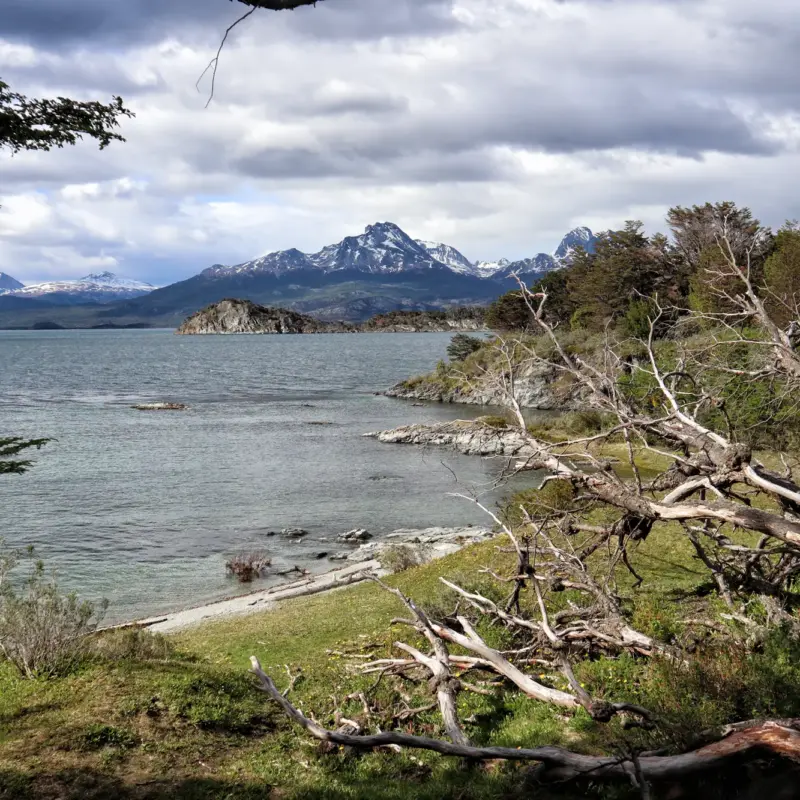 Tierra del Fuego Nationaal Park - Argentinië
