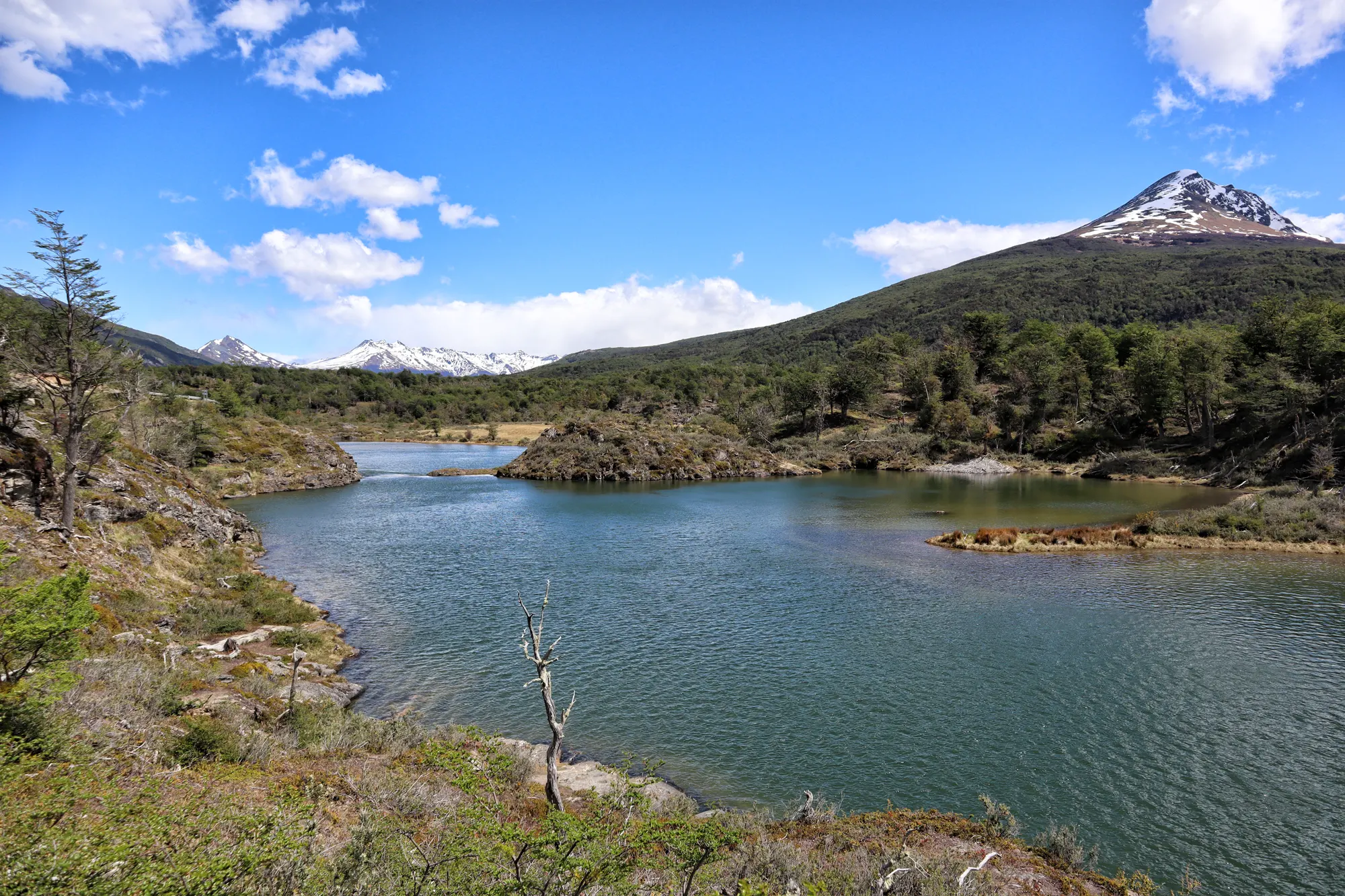 Tierra del Fuego Nationaal Park - Argentinië