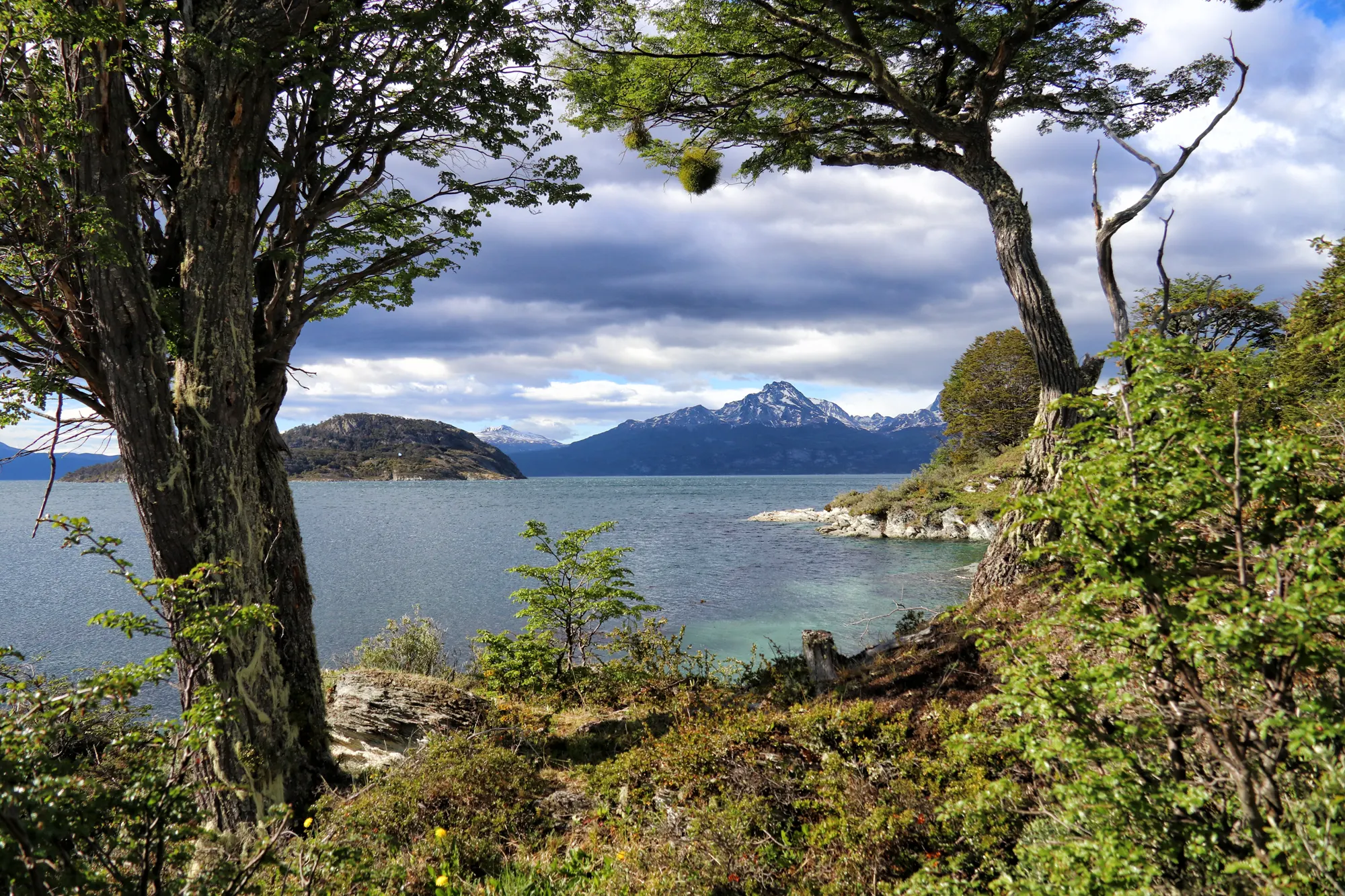 Tierra del Fuego Nationaal Park - Argentinië