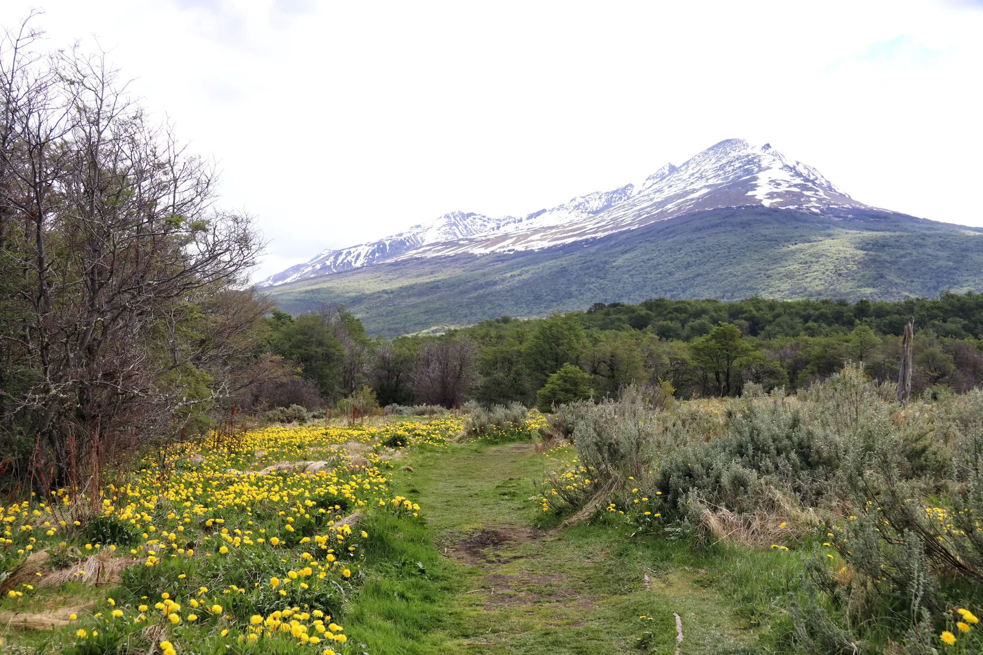 Tierra del Fuego Nationaal Park - Argentinië