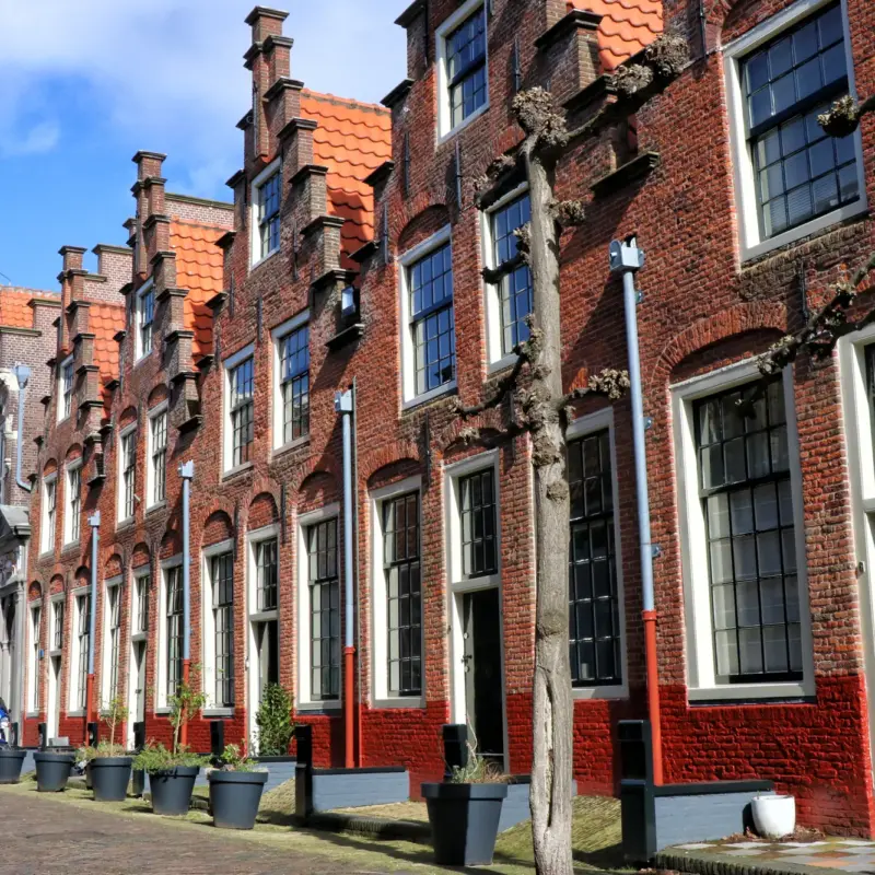 Stedentrip Haarlem
