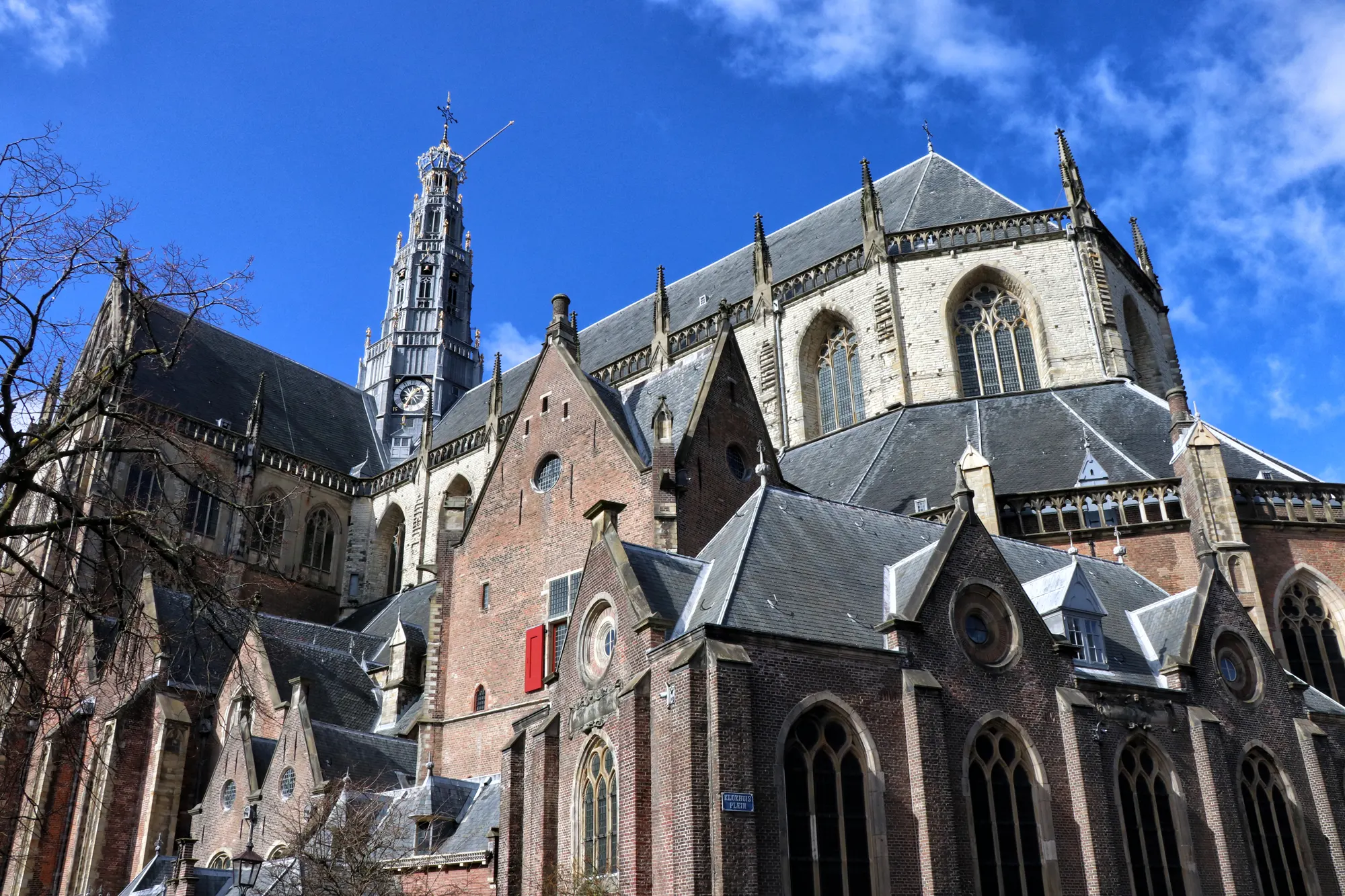 Bavokerk - Haarlem, Nederland