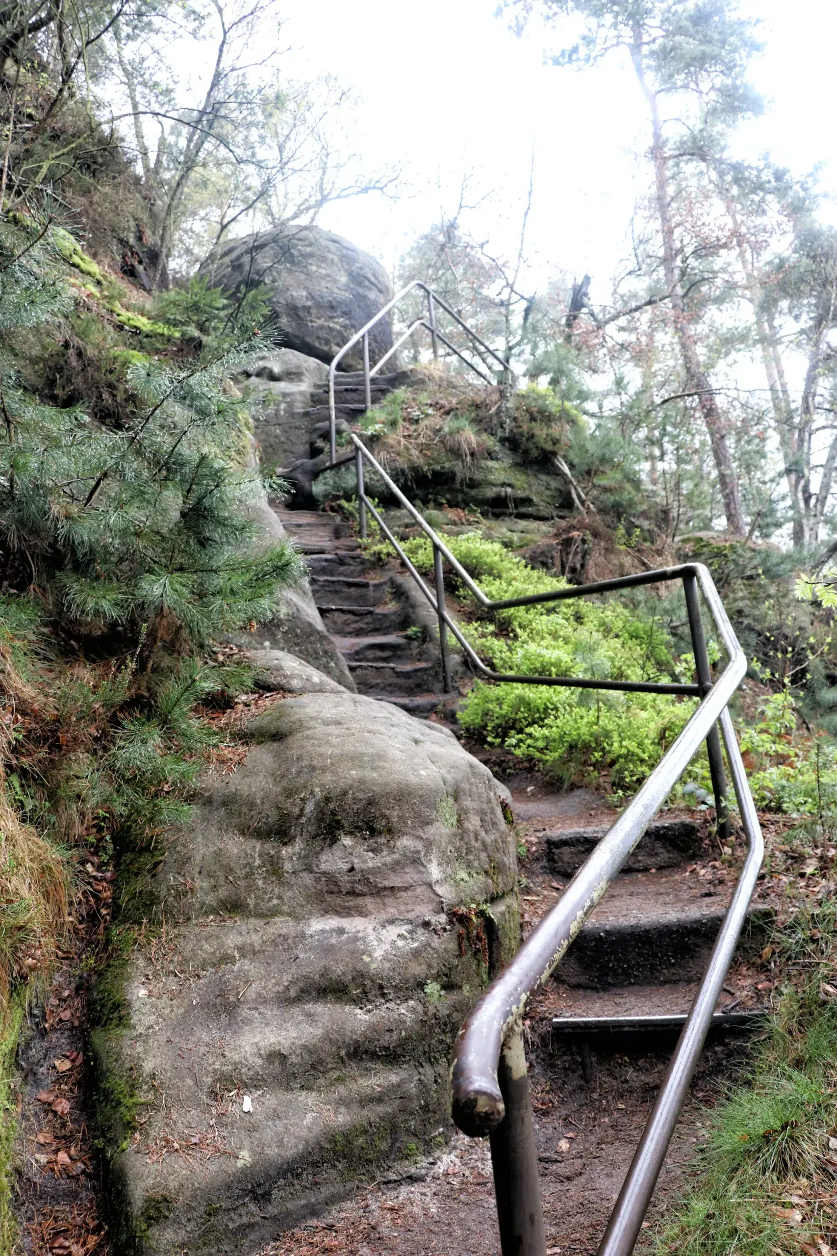 Malerweg Etappe 8 - Rauenstein