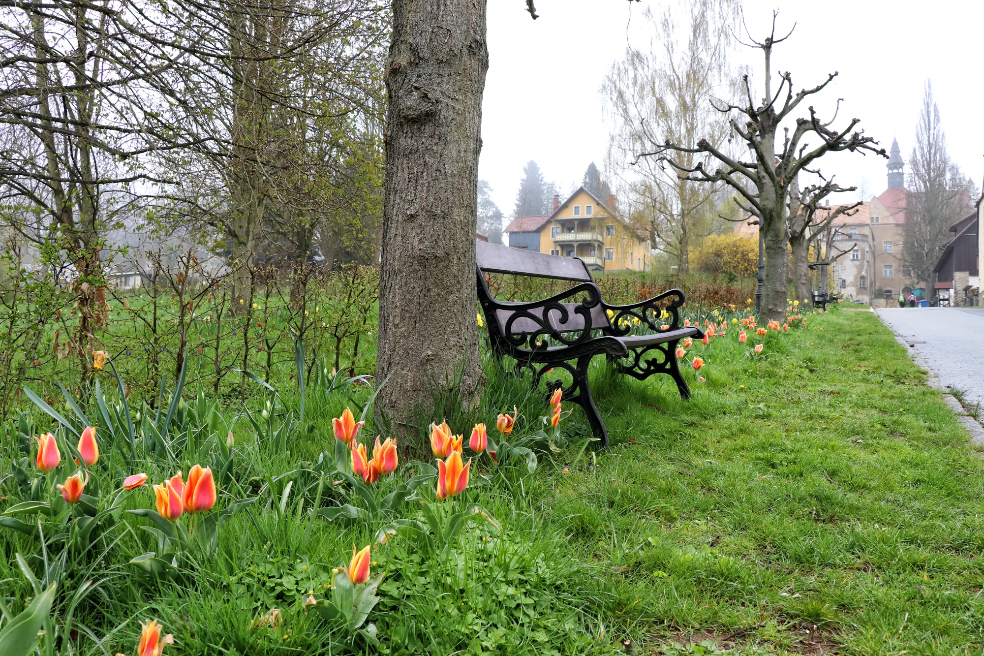 Malerweg Etappe 8 - Thürmsdorf