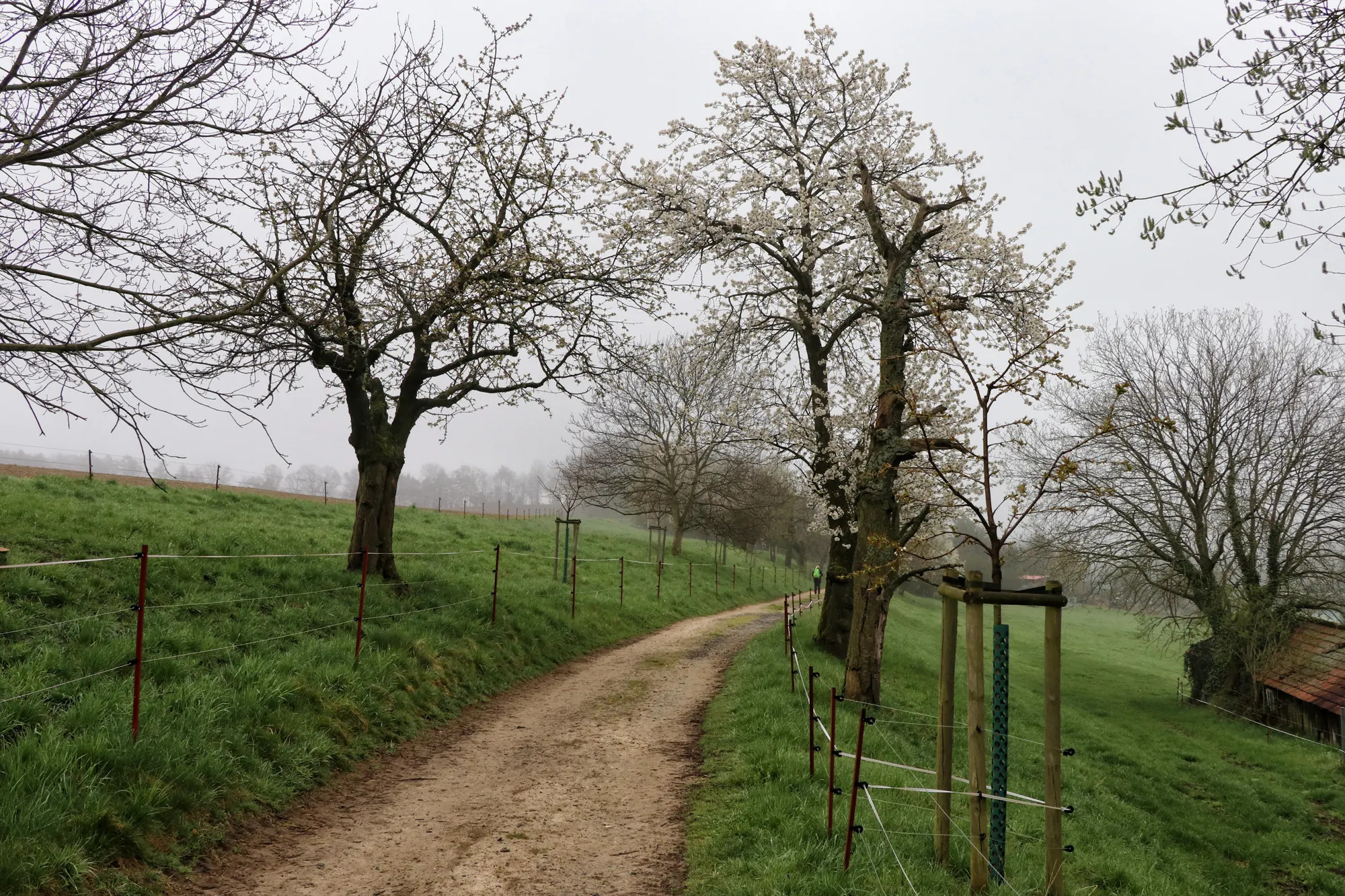 Malerweg Etappe 8 - Thürmsdorf