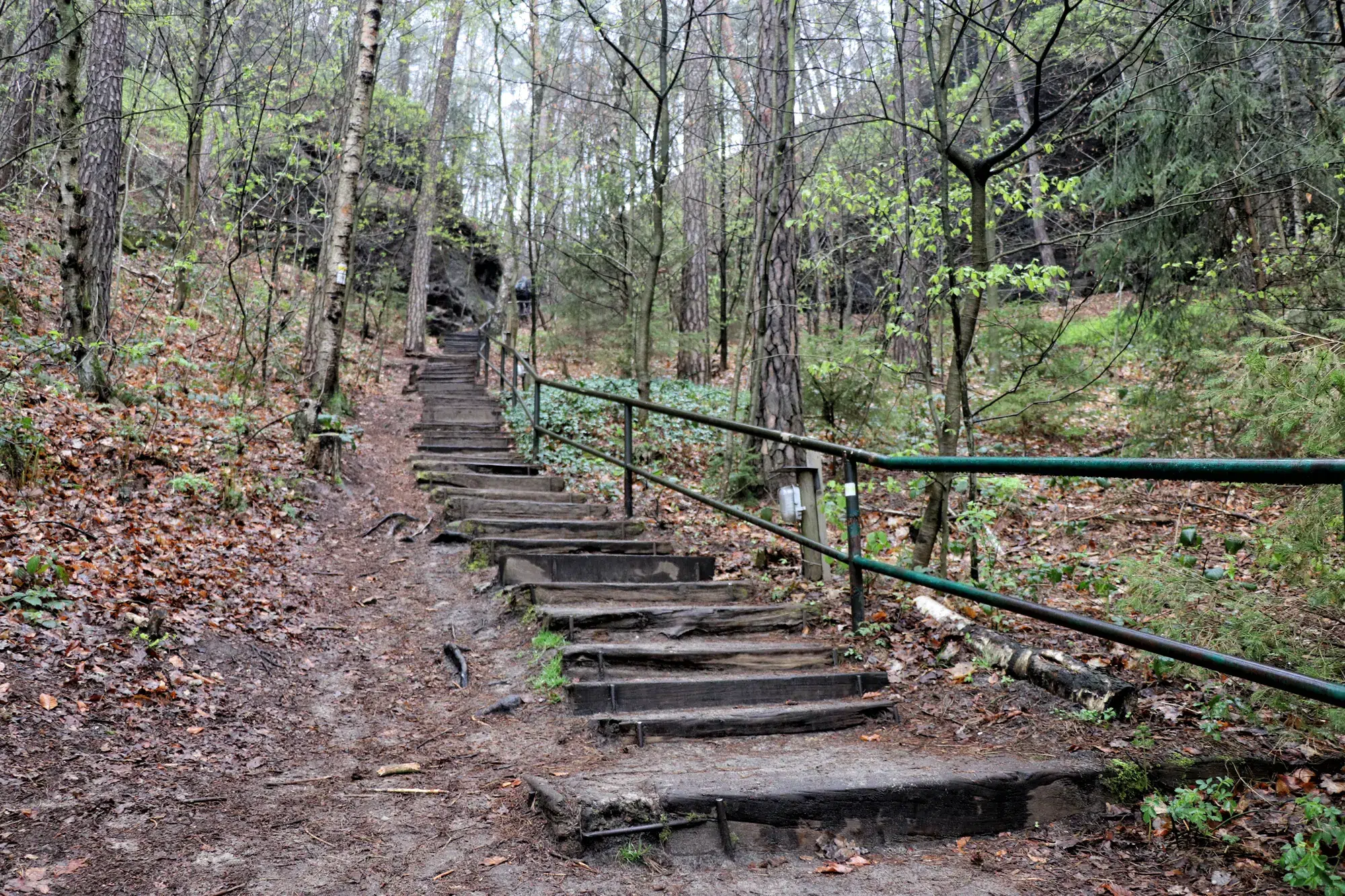 Malerweg Etappe 8 - Rauenstein