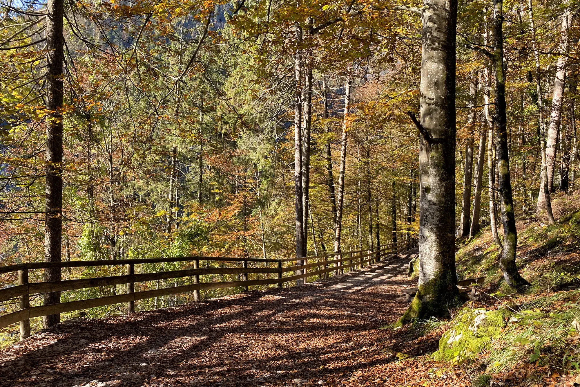 Wandelen in Duitsland: Malerwinkl Rundweg bij de Königssee