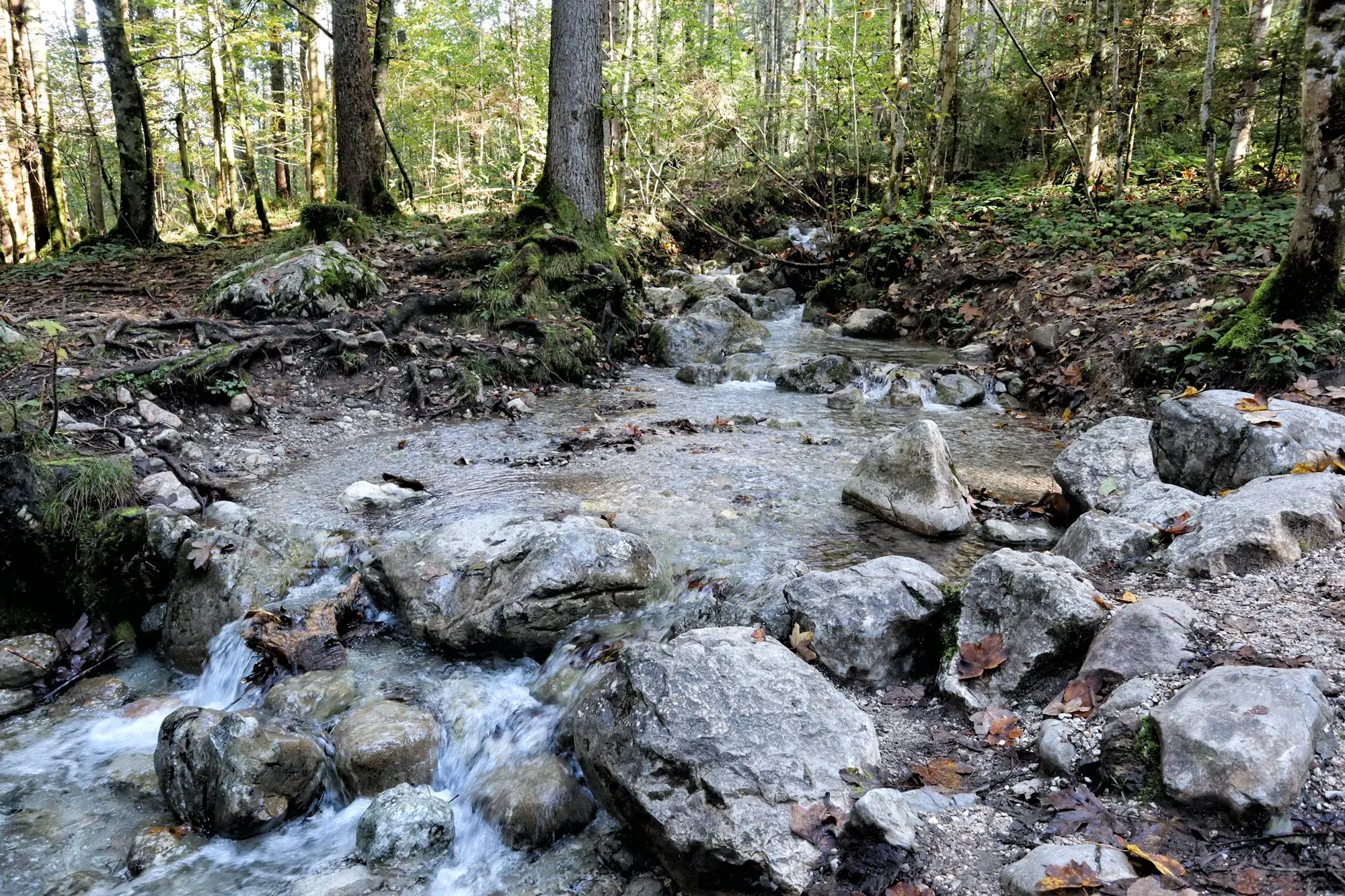 Wandelen in Duitsland: Malerwinkl Rundweg bij de Königssee