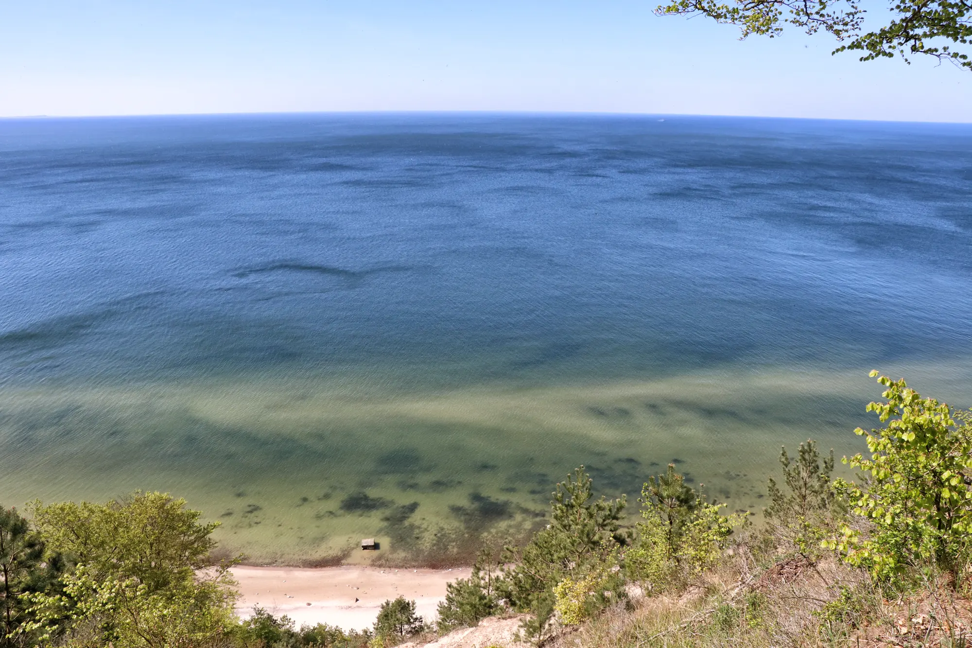 West-Pommeren, Polen - Goslin in Wolin National Park