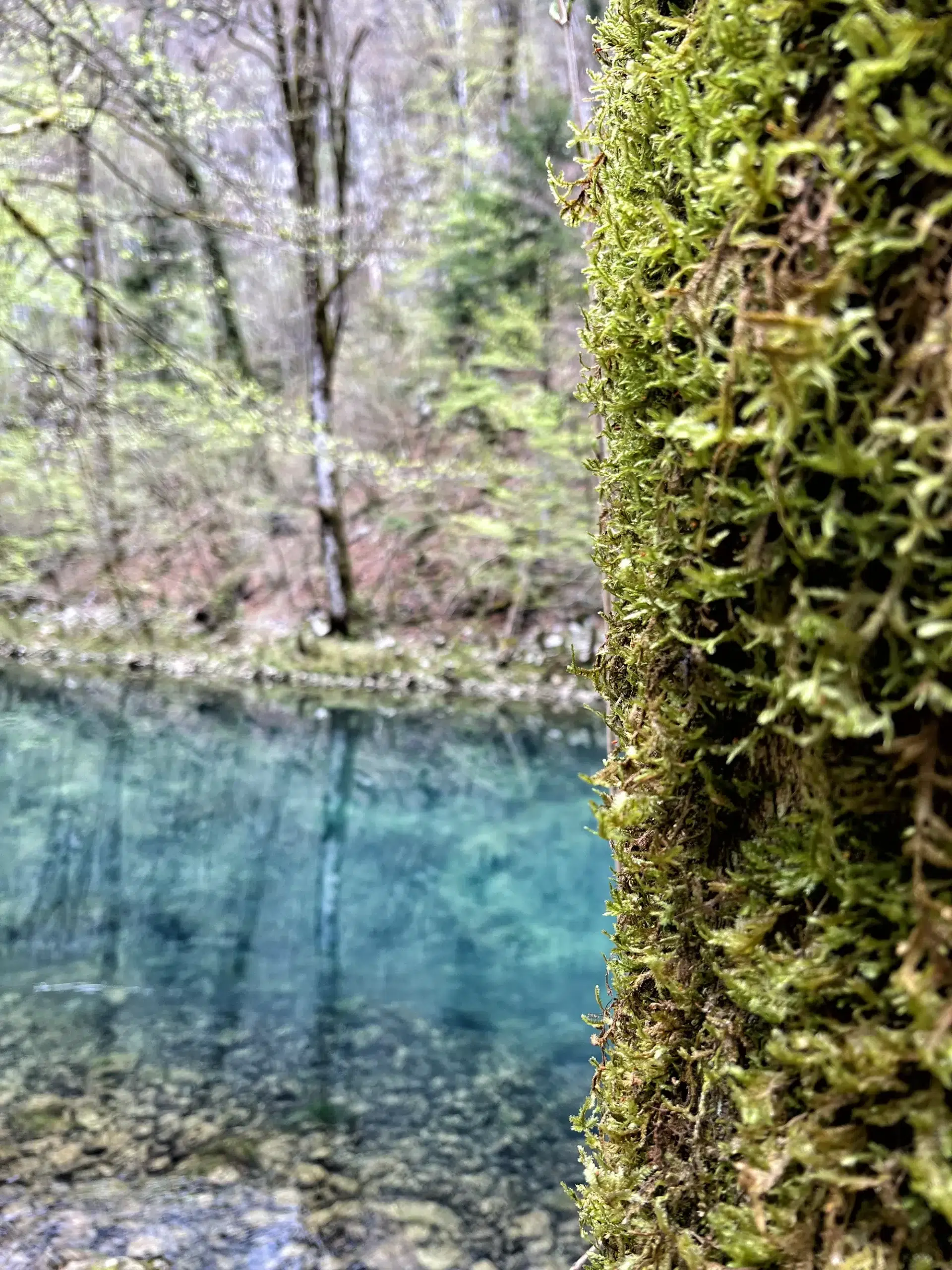 Risnjak National Park, Kvarner Baai - Kroatië