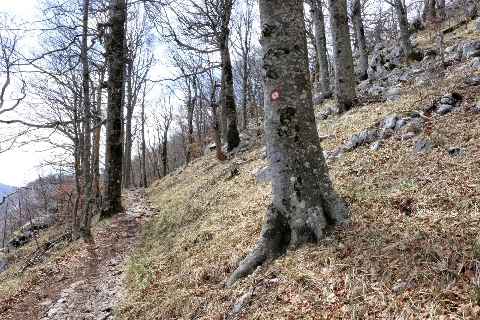 Ucka Natuurpark, Kvarner Baai - Kroatië