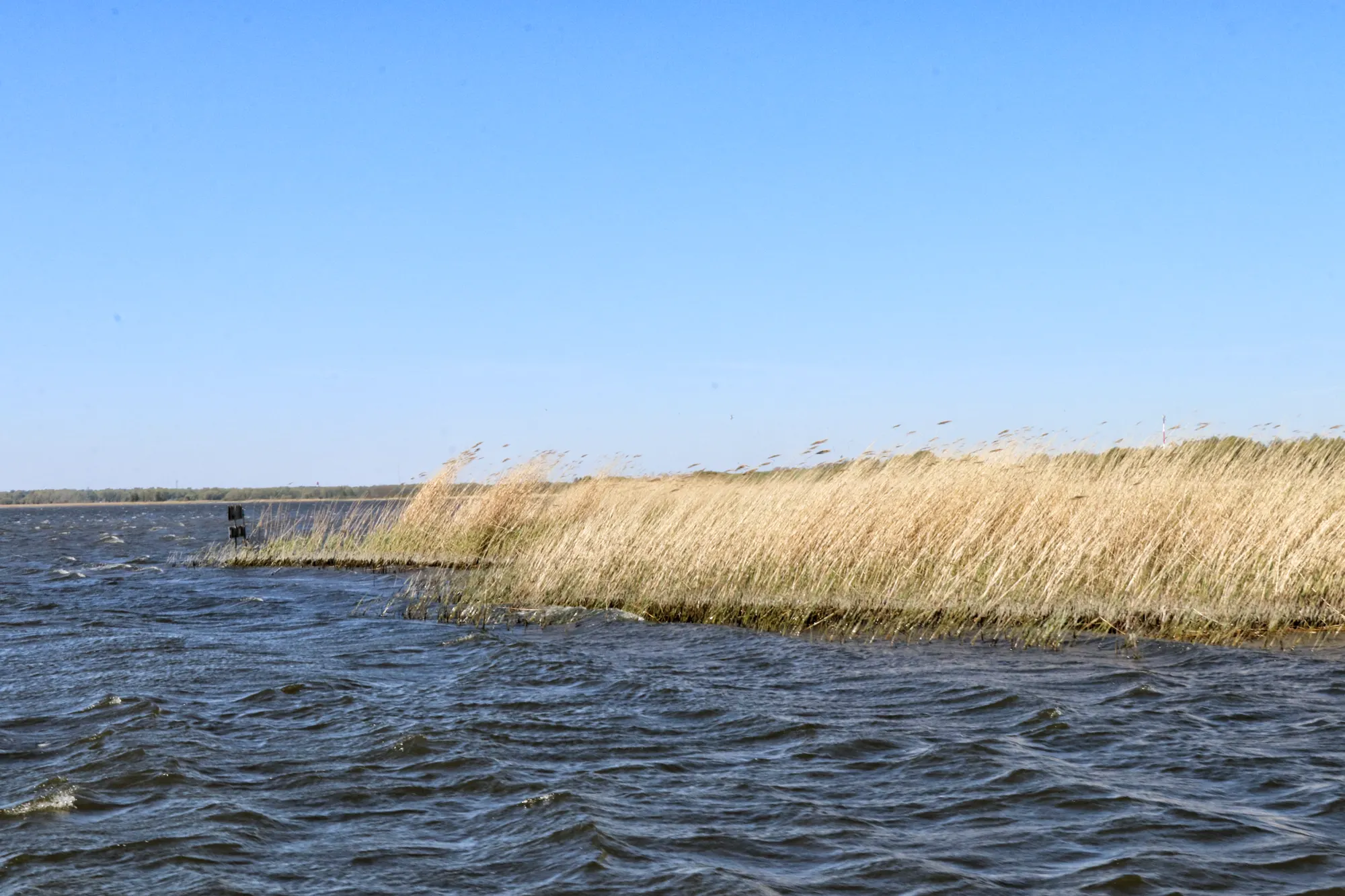 West-Pommeren, Polen - Oderdelta