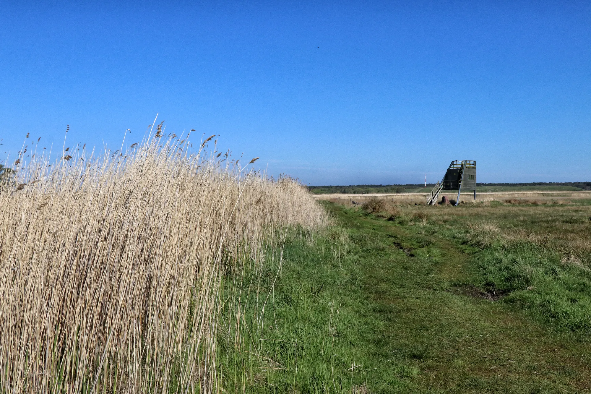 West-Pommeren, Polen - Wolin National Park