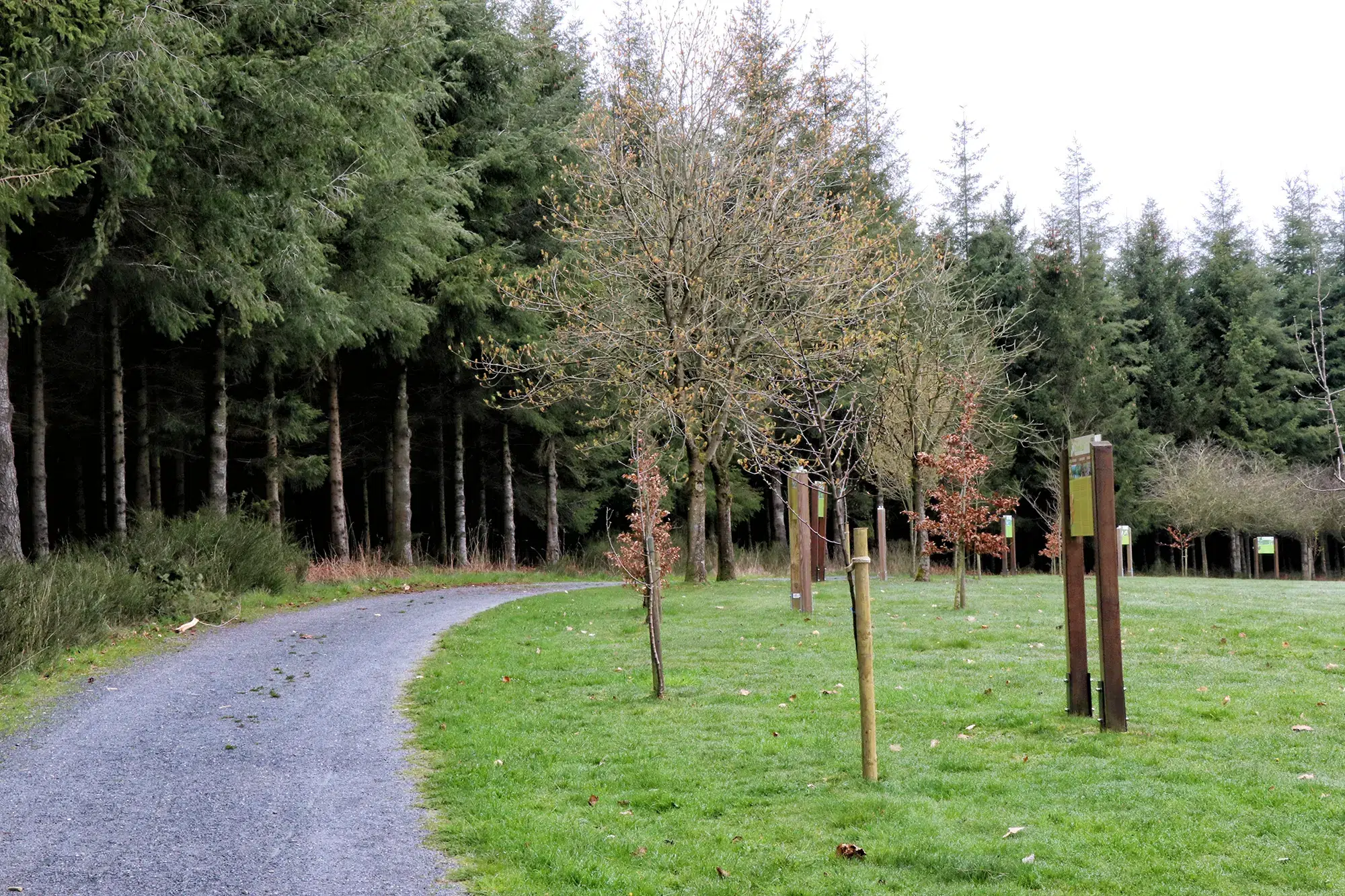 Bastogne, België - Wandeling van de herinneringen