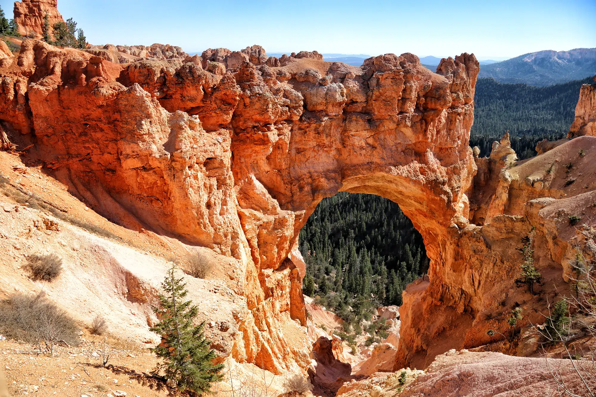 Utah, Amerika - Bryce Canyon National Park