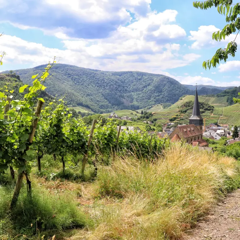 Ahrtal, Duitsland - Mayschoss