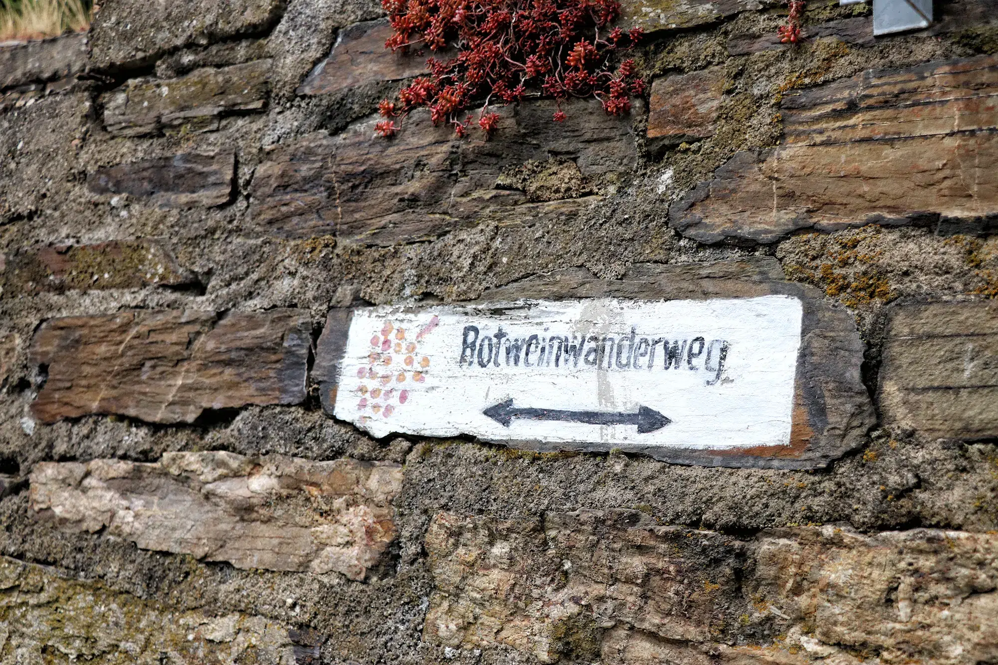 Ahrtal, Duitsland - Rotweinwanderweg