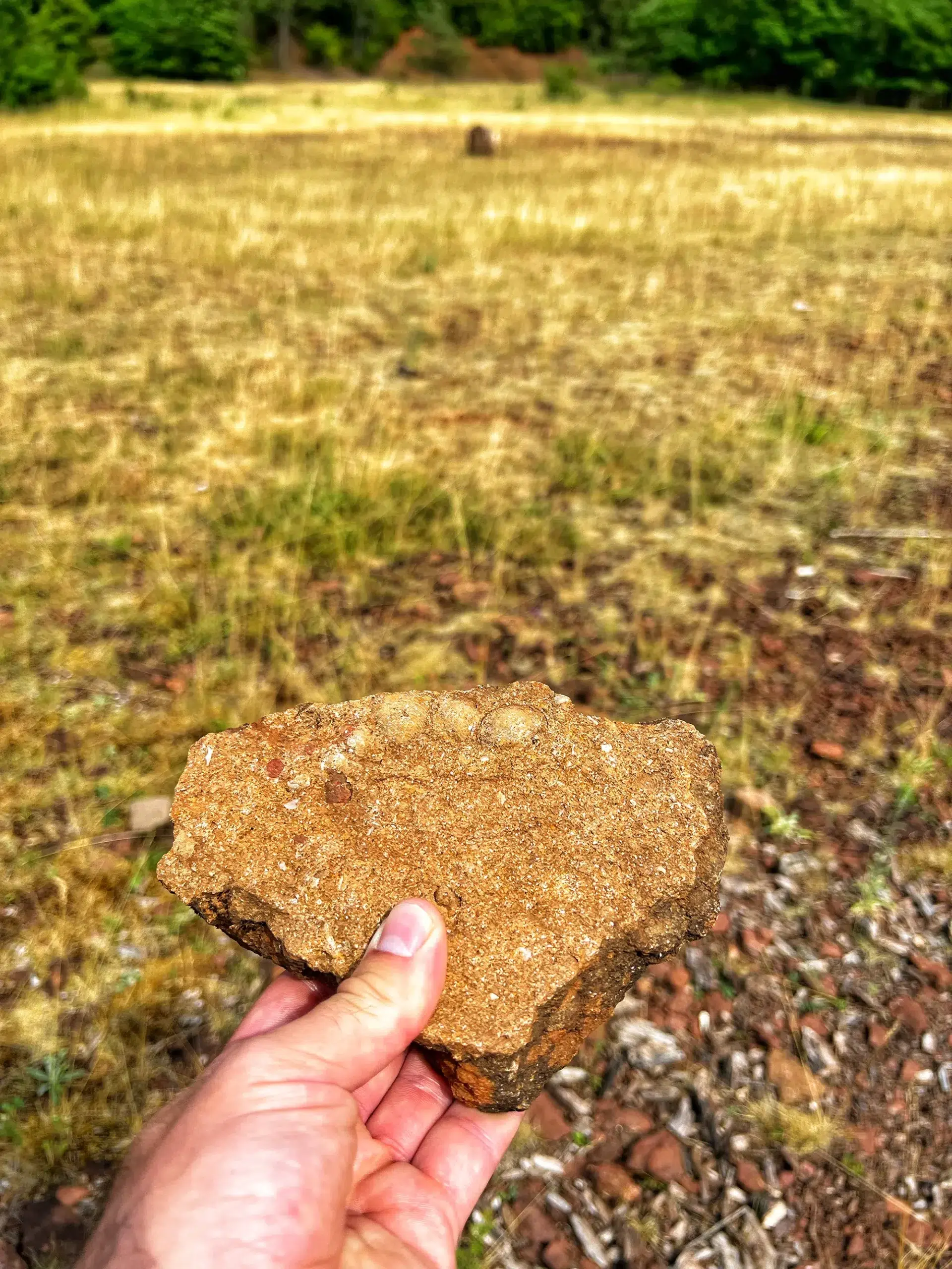 Minett regio, Luxemburg - Natuurrservaat Ellergronn