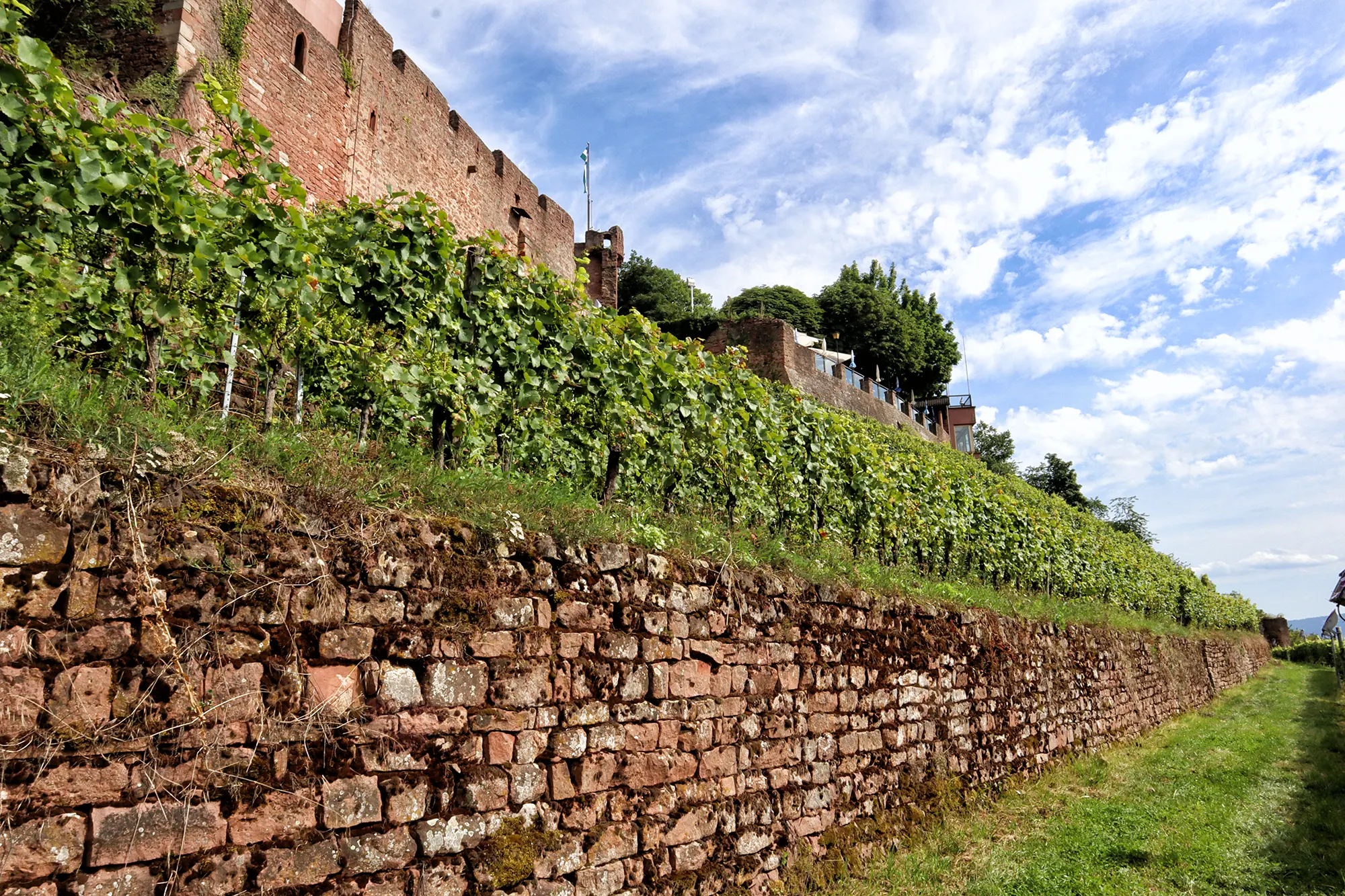 Fränkischer Rotwein Wanderweg, Churfranken, Duitsland