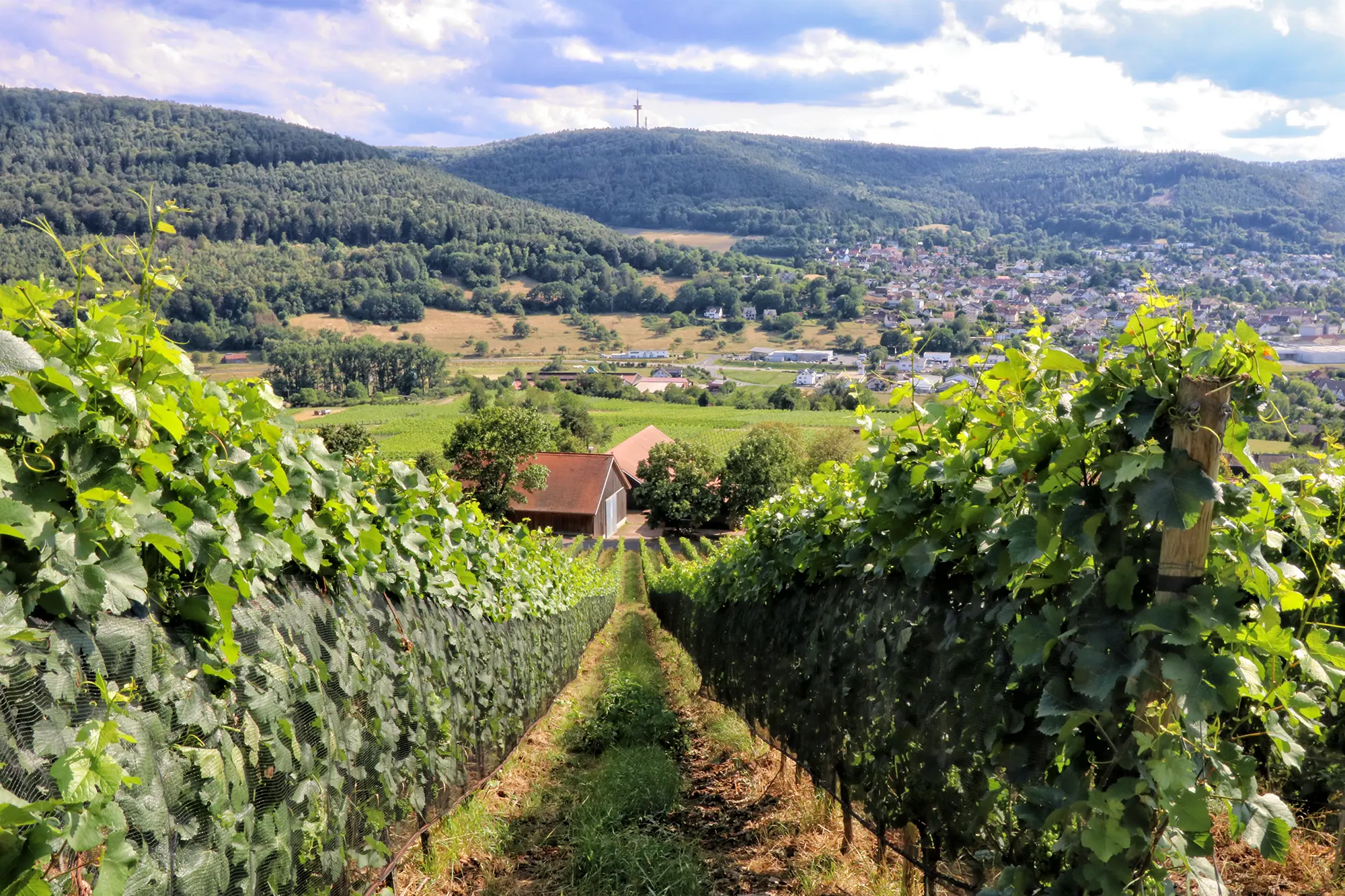 Fränkischer Rotwein Wanderweg, Churfranken, Duitsland