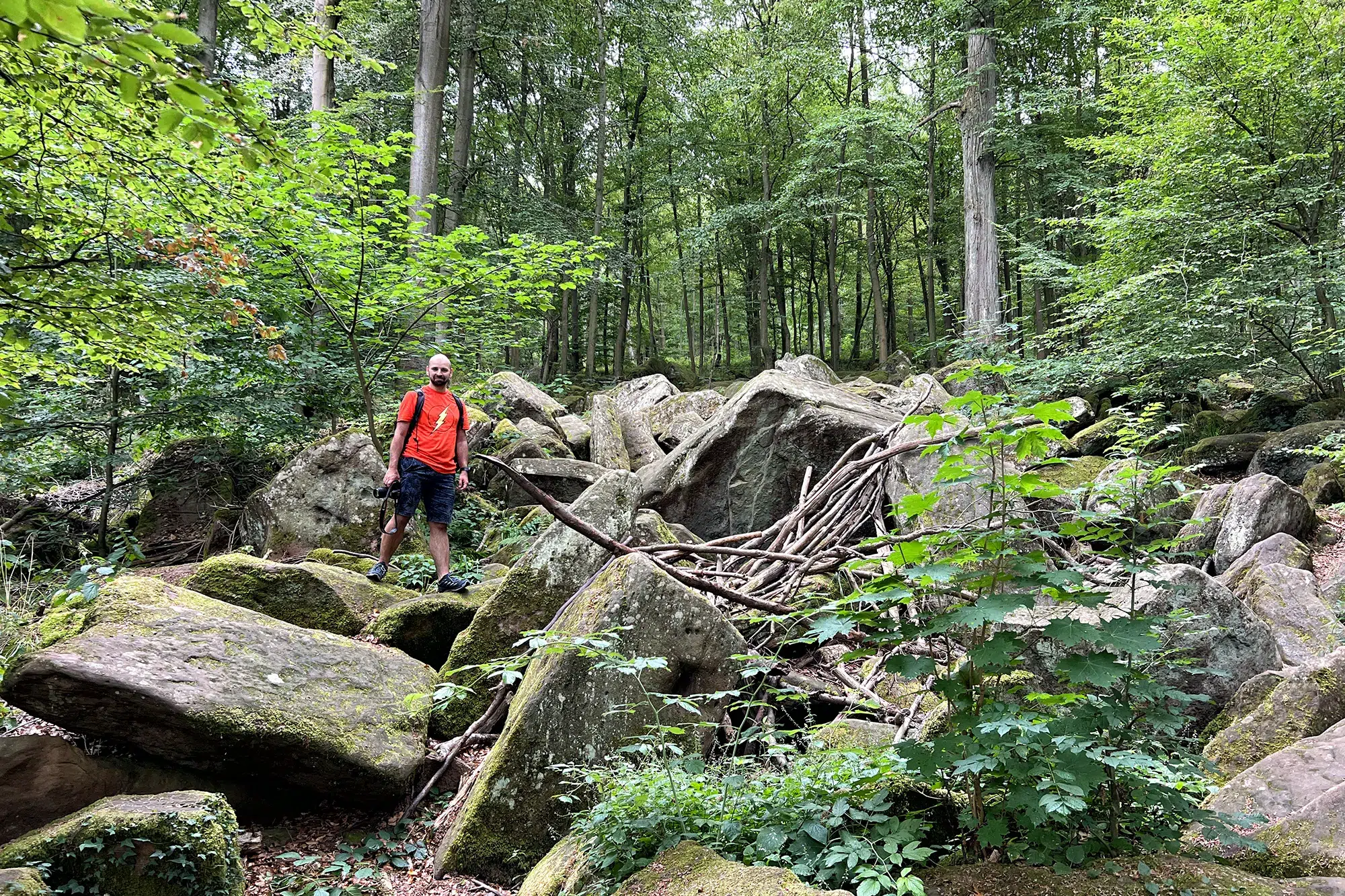 Miltenberg, Duitsland - Felsenmeer