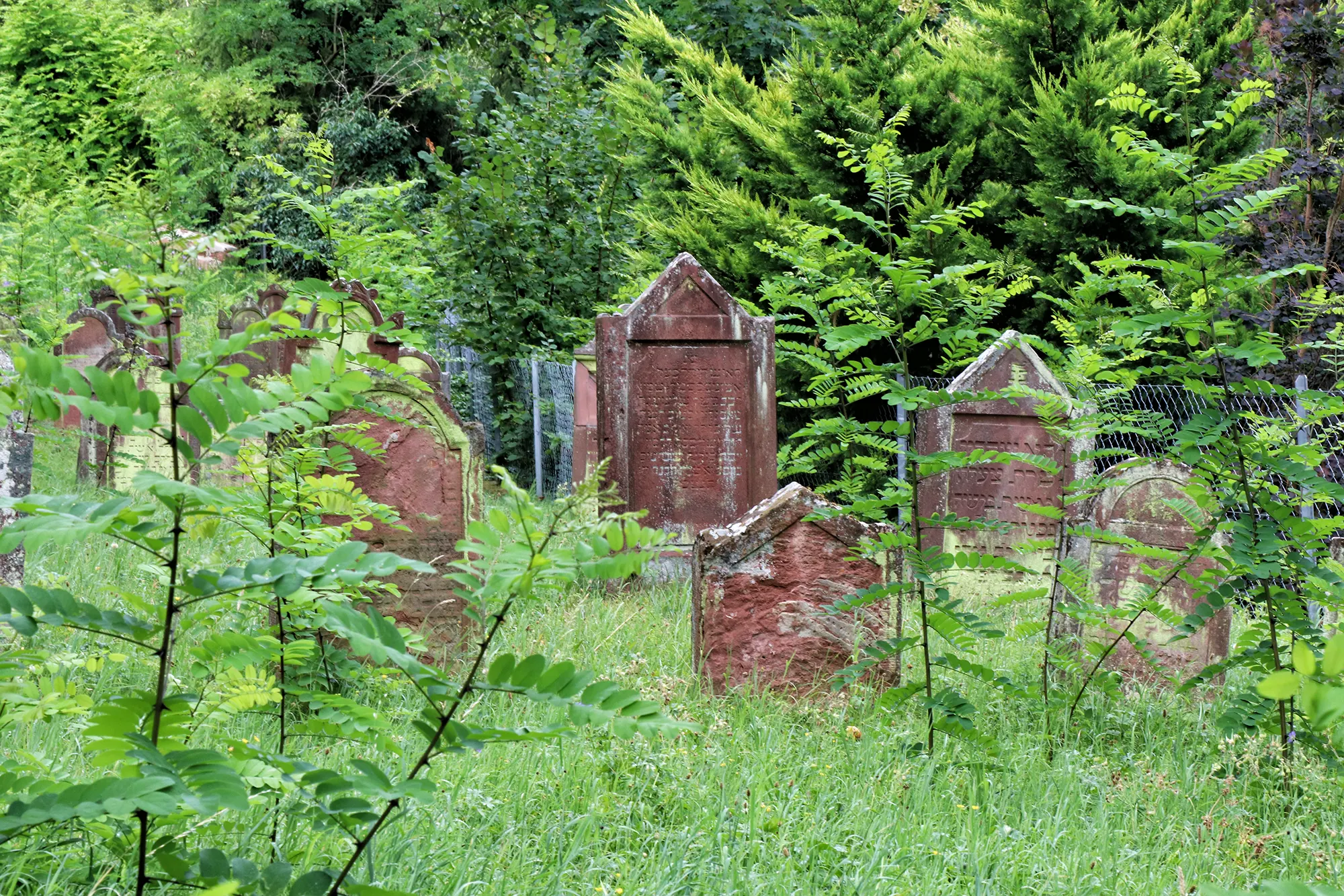Miltenberg, Duitsland - Oude Joodse begraafplaats
