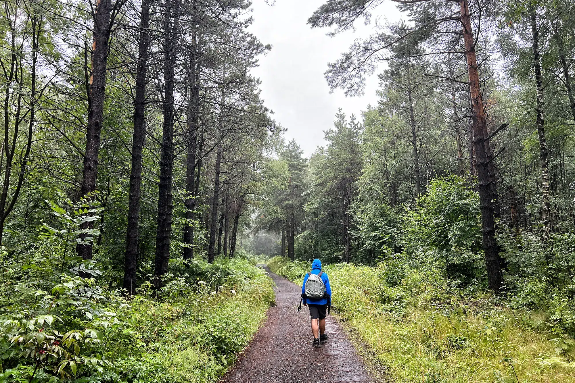 Oberlausitzer Bergweg, Duitsland