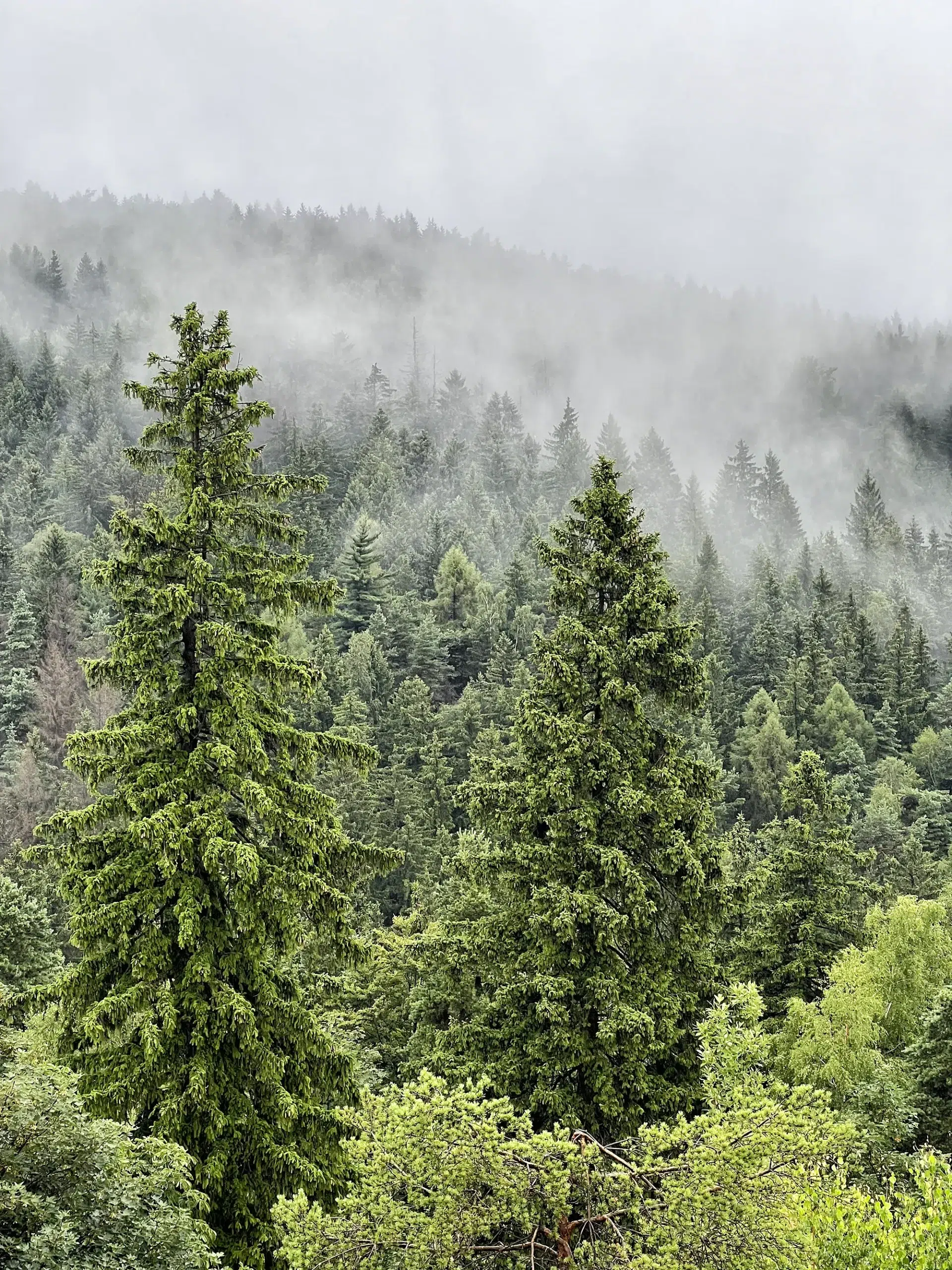 Oberlausitzer Bergweg, Duitsland - Nonnenfelsen