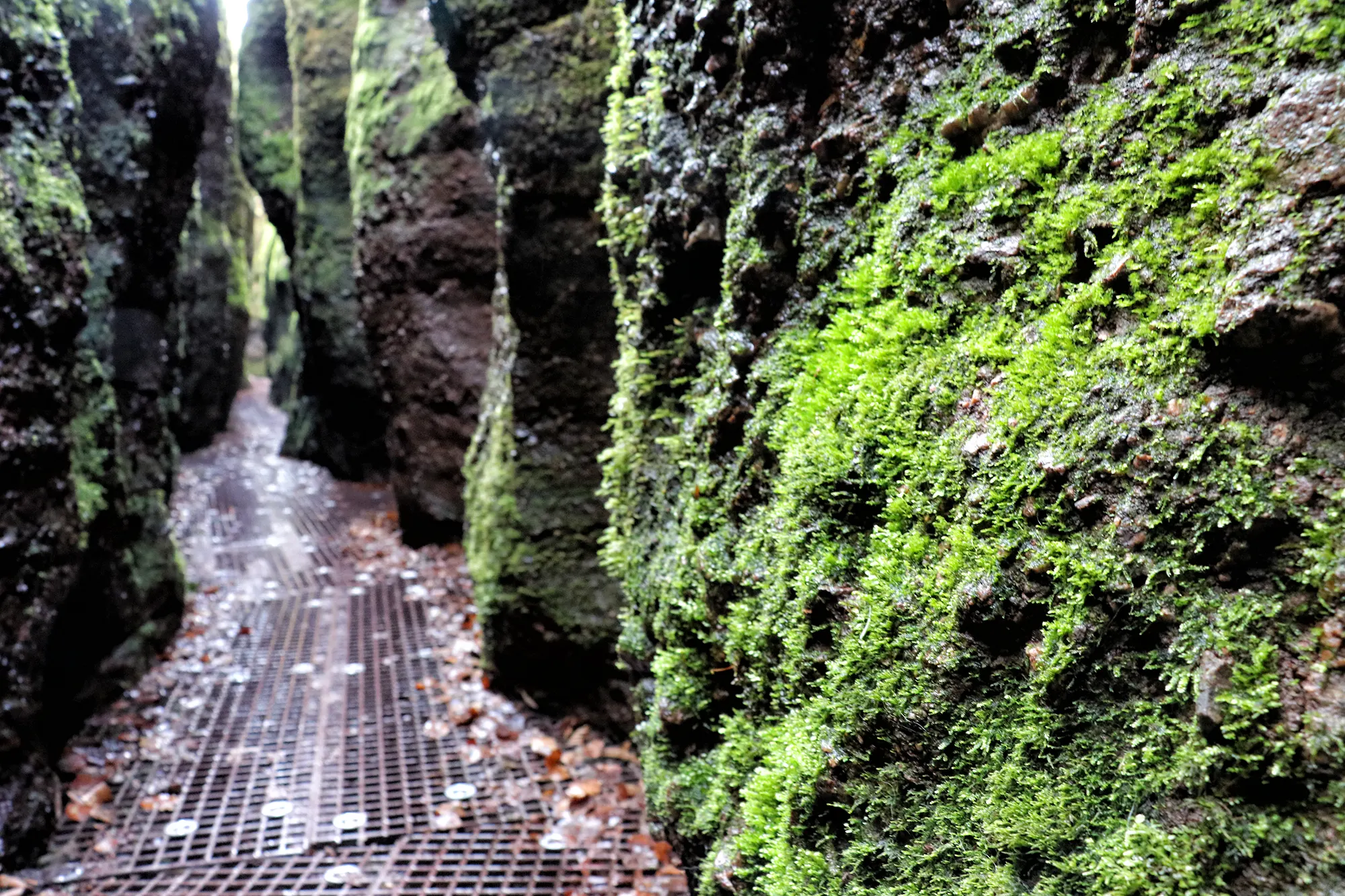 Eisenach, Duitsland - Drachenschlucht