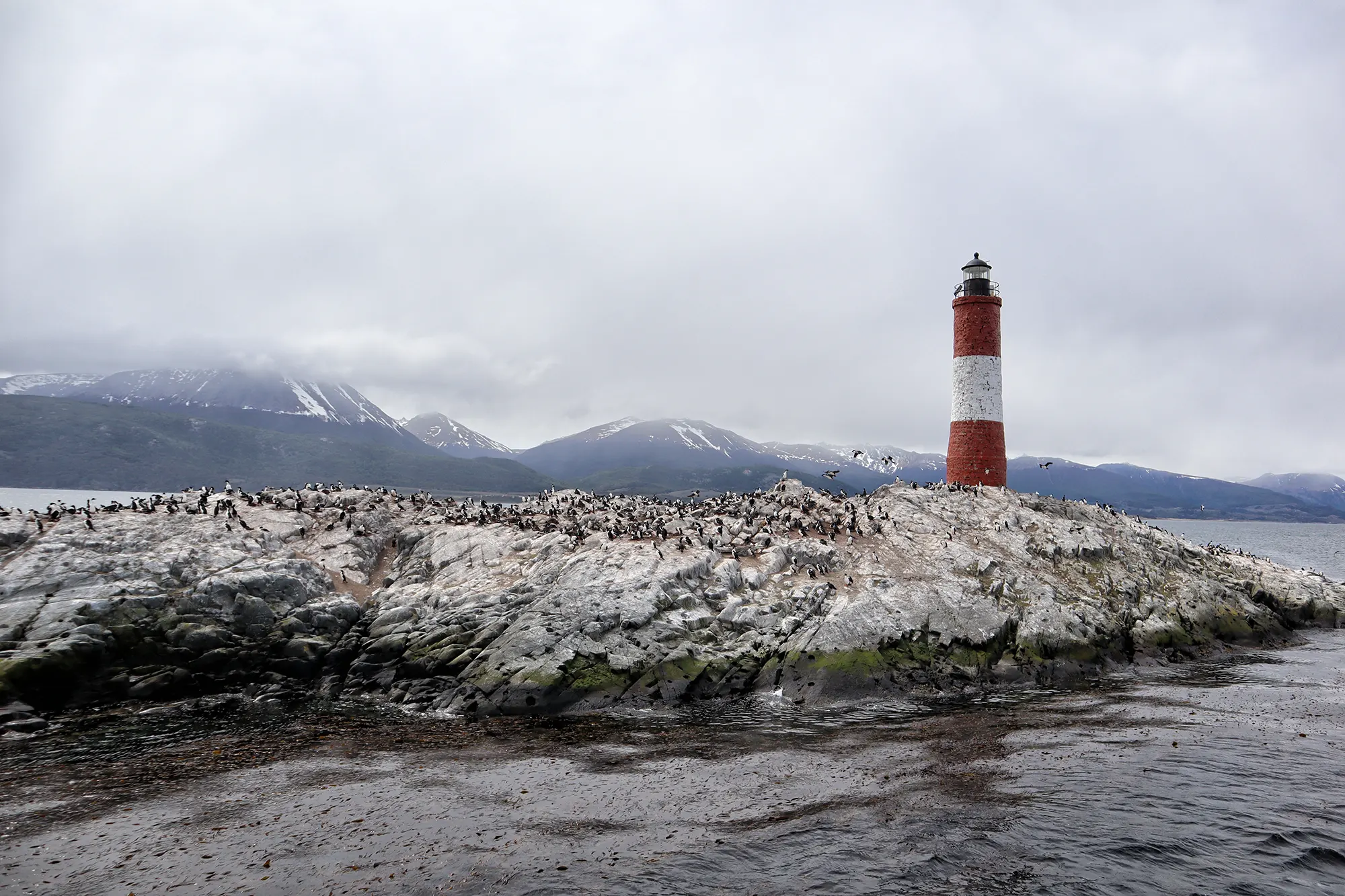 Hoogtepunten Patagonië - Beagle Kanaal