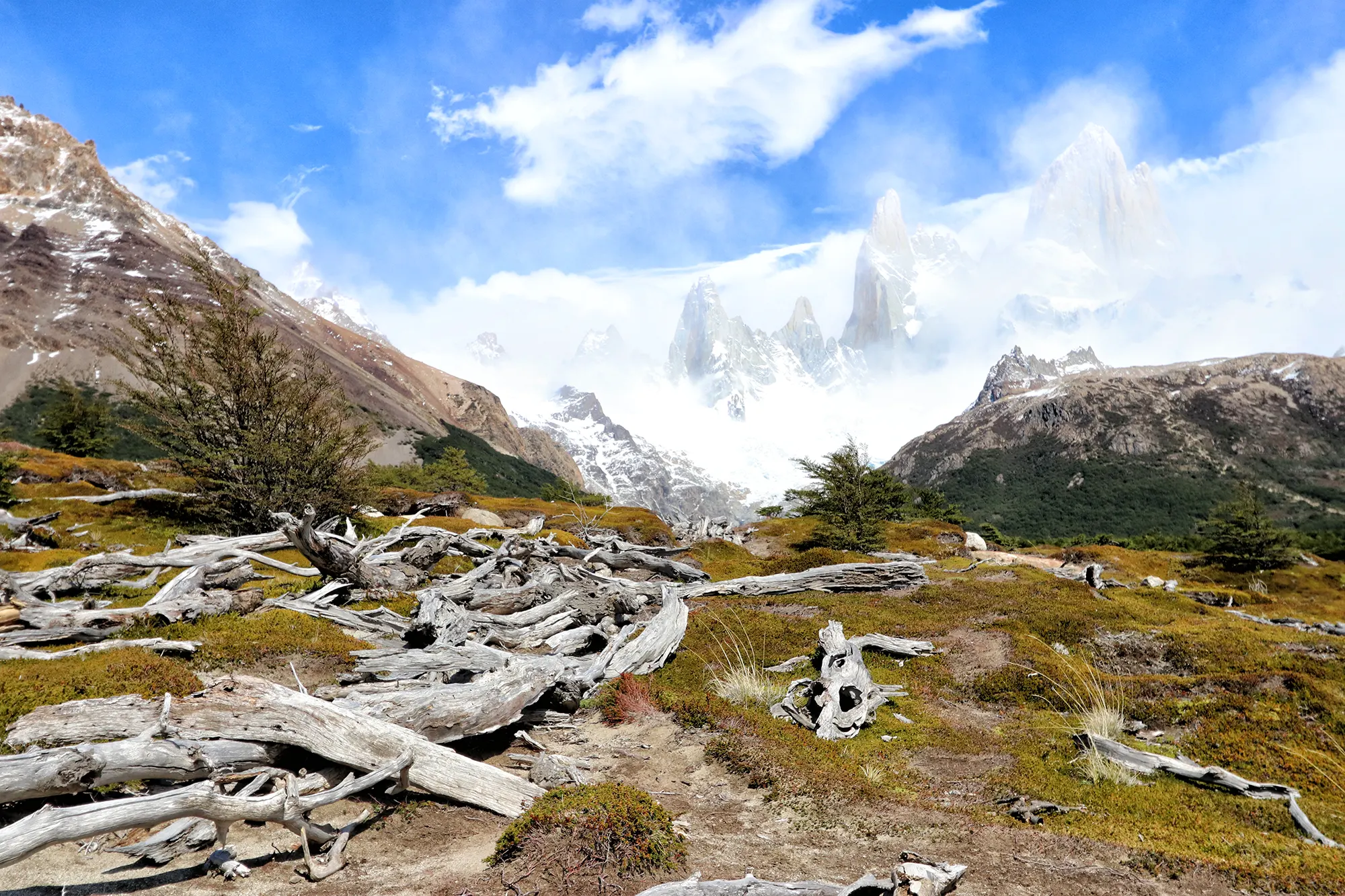 Hoogtepunten Patagonië - Fitz Roy