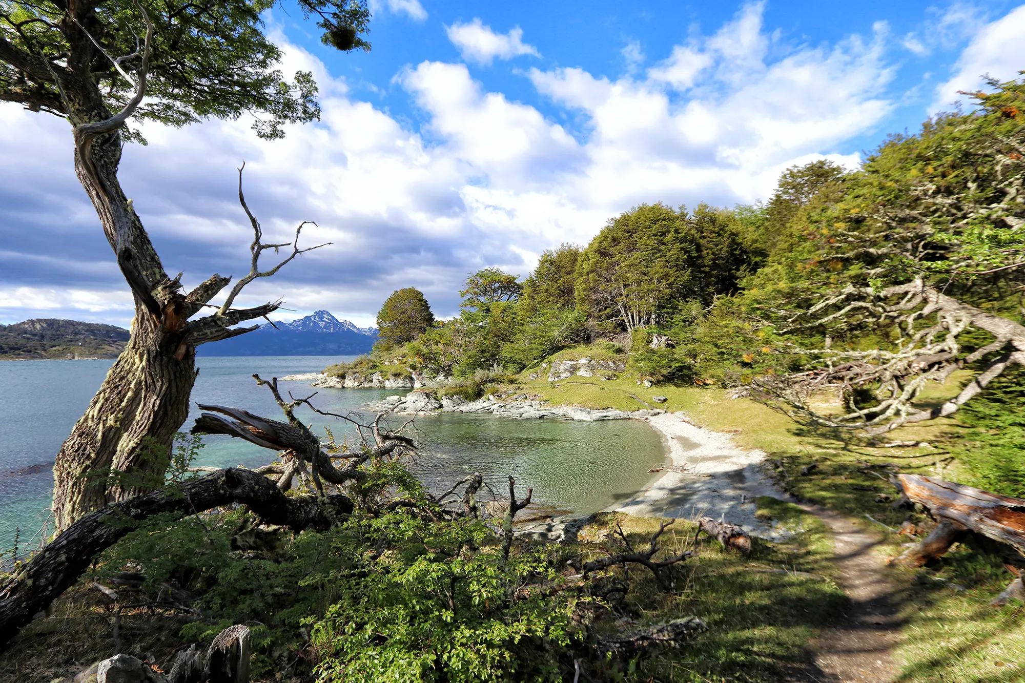 Hoogtepunten Patagonië - Parque Nacional Tierra del Fuego