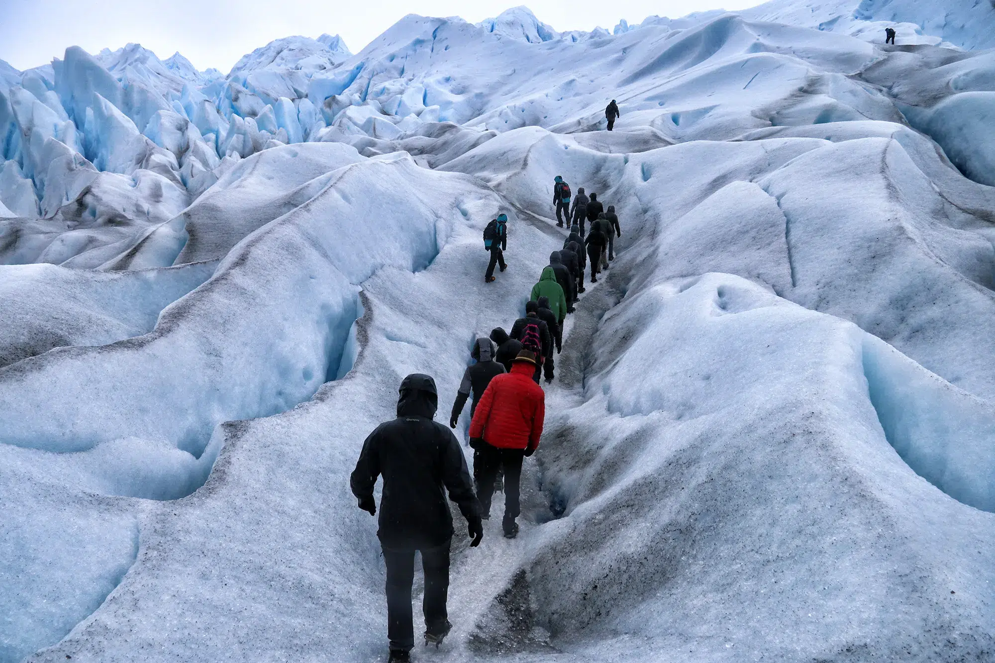 Hoogtepunten Patagonië - Perito Moreno gletsjer