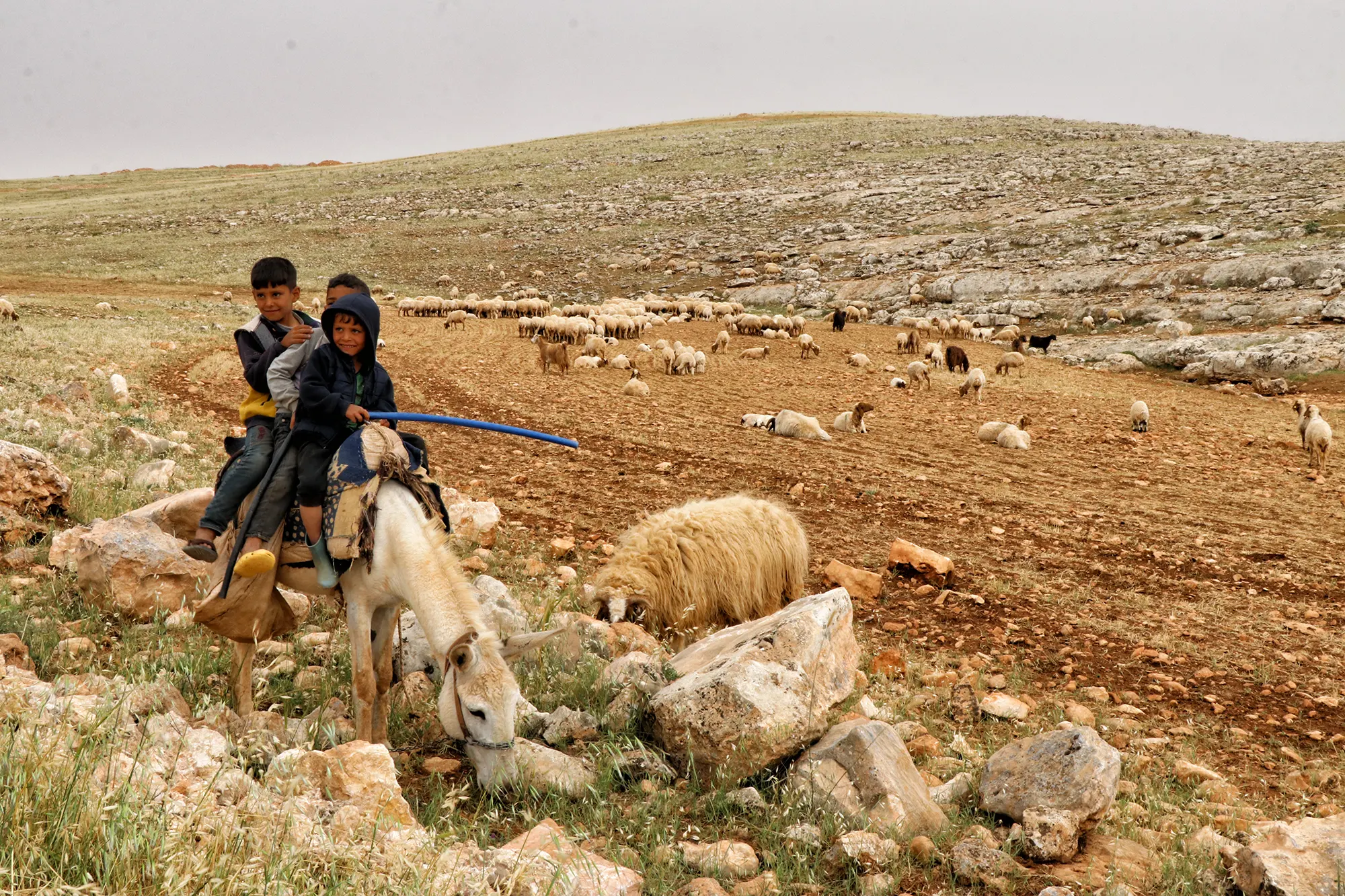 Karahan Tepe - Turkije