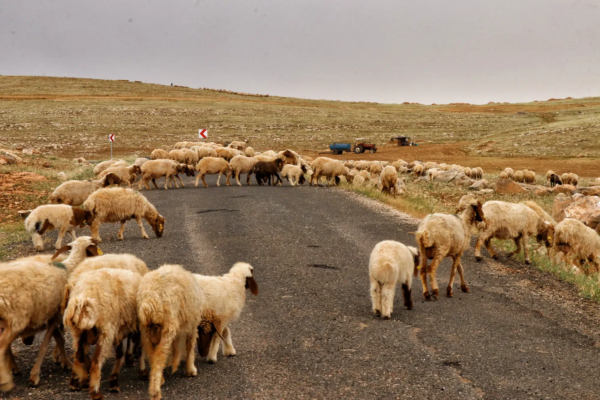 Karahan Tepe - Turkije