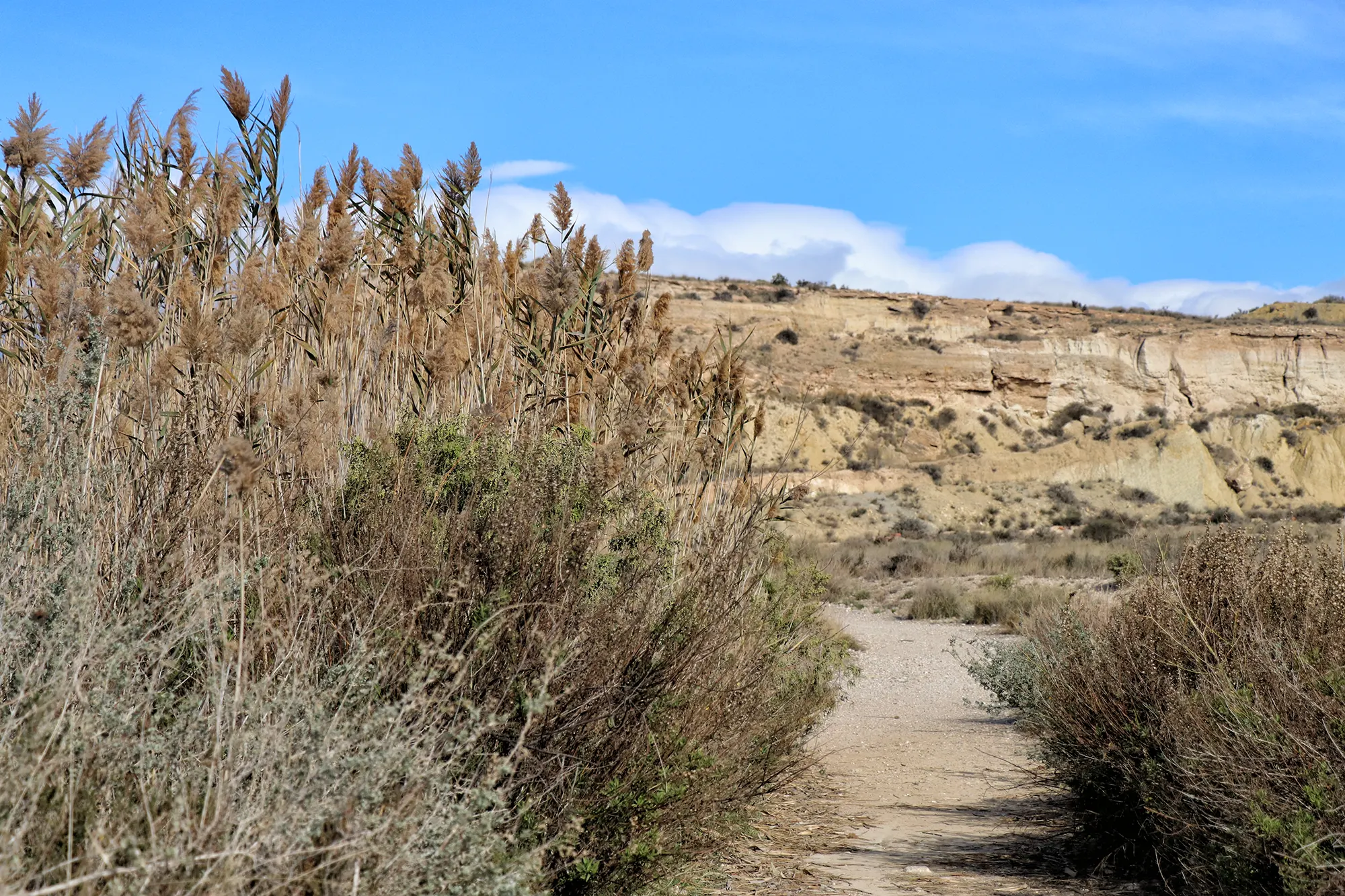 Wandelen in Alicante: Lagunas de Rabasa