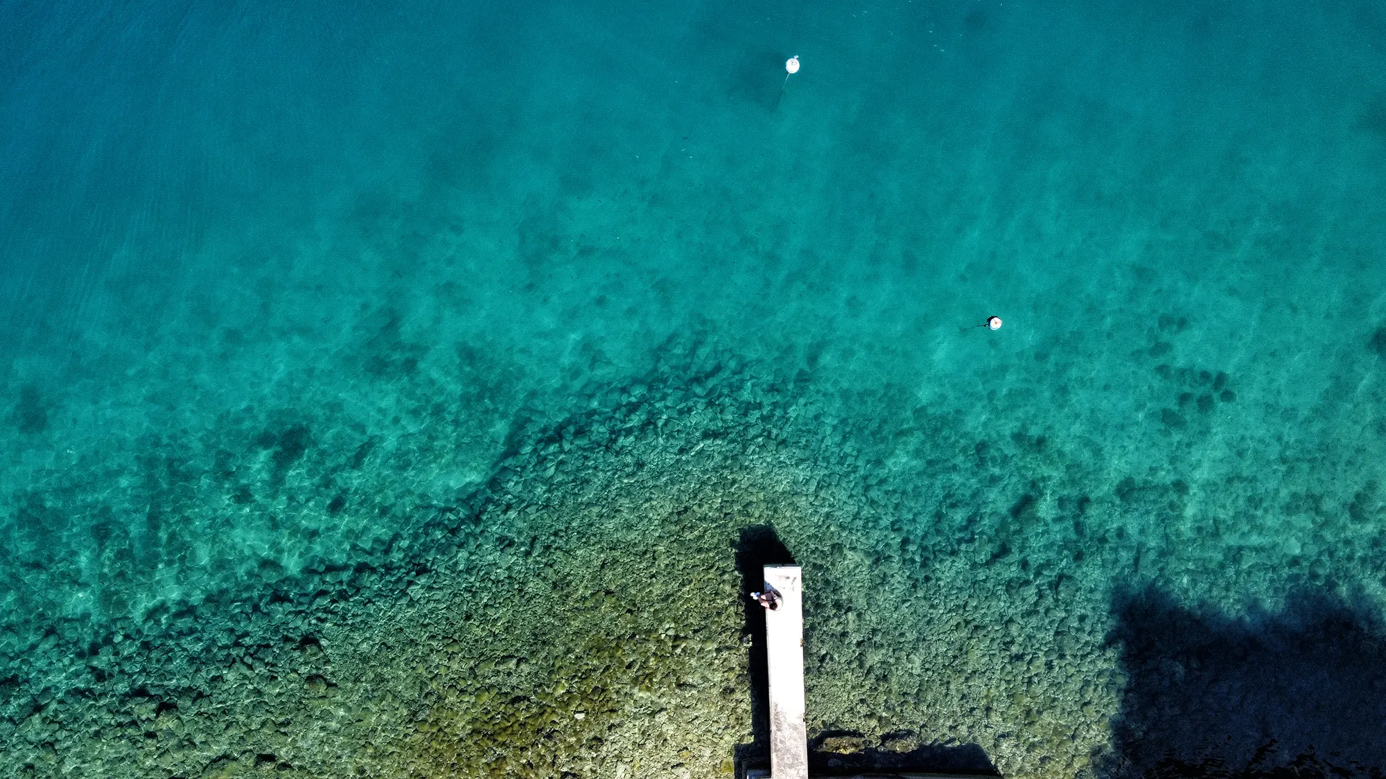 Eiland Cres, Kroatië - Natuur