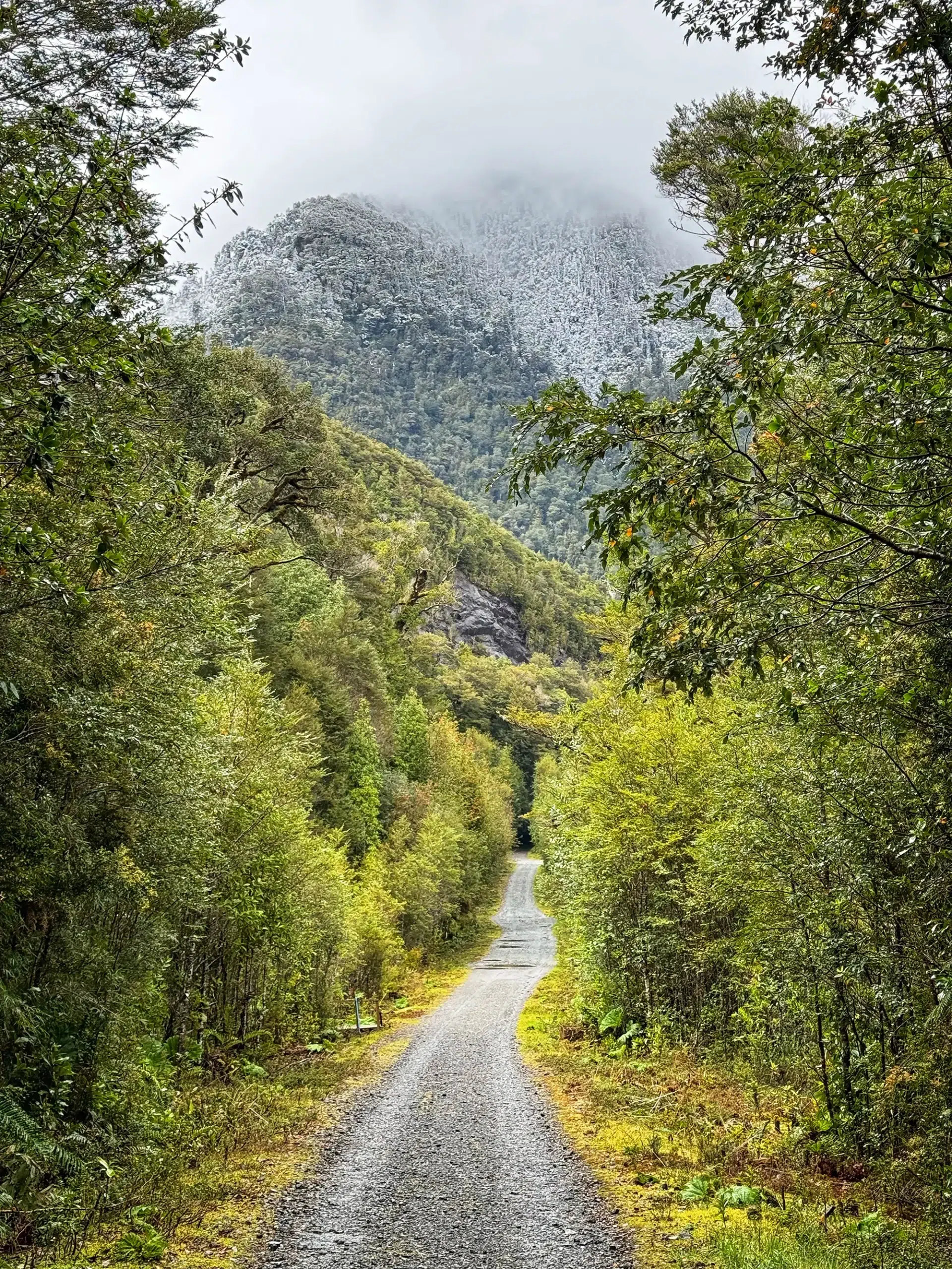 Carretera Austral, Chili - Parque Nacional Alerce Andino - Sendero Laguna Sargazo