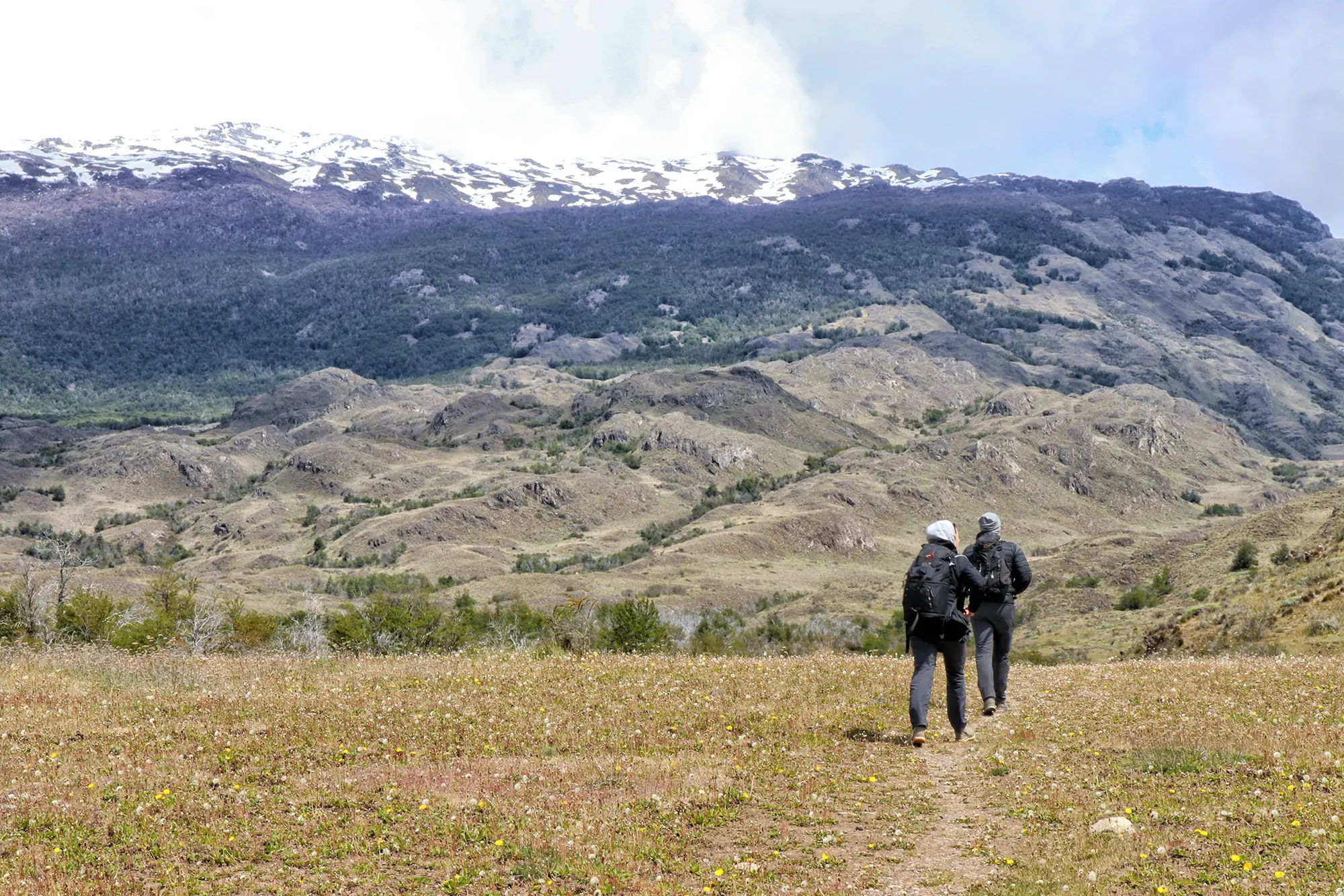 Carretera Austral, Chili - Parque Nacional Patagonia - Sendero la Vega