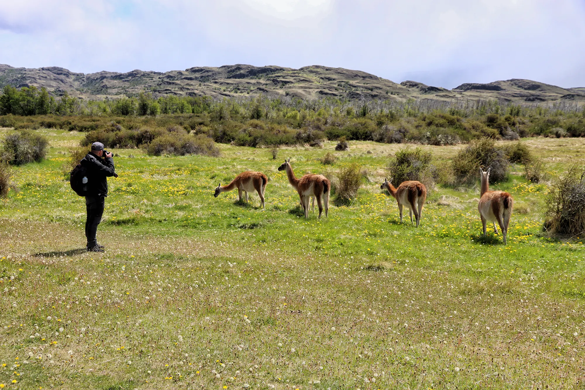 Carretera Austral, Chili - Parque Nacional Patagonia - Sendero la Vega