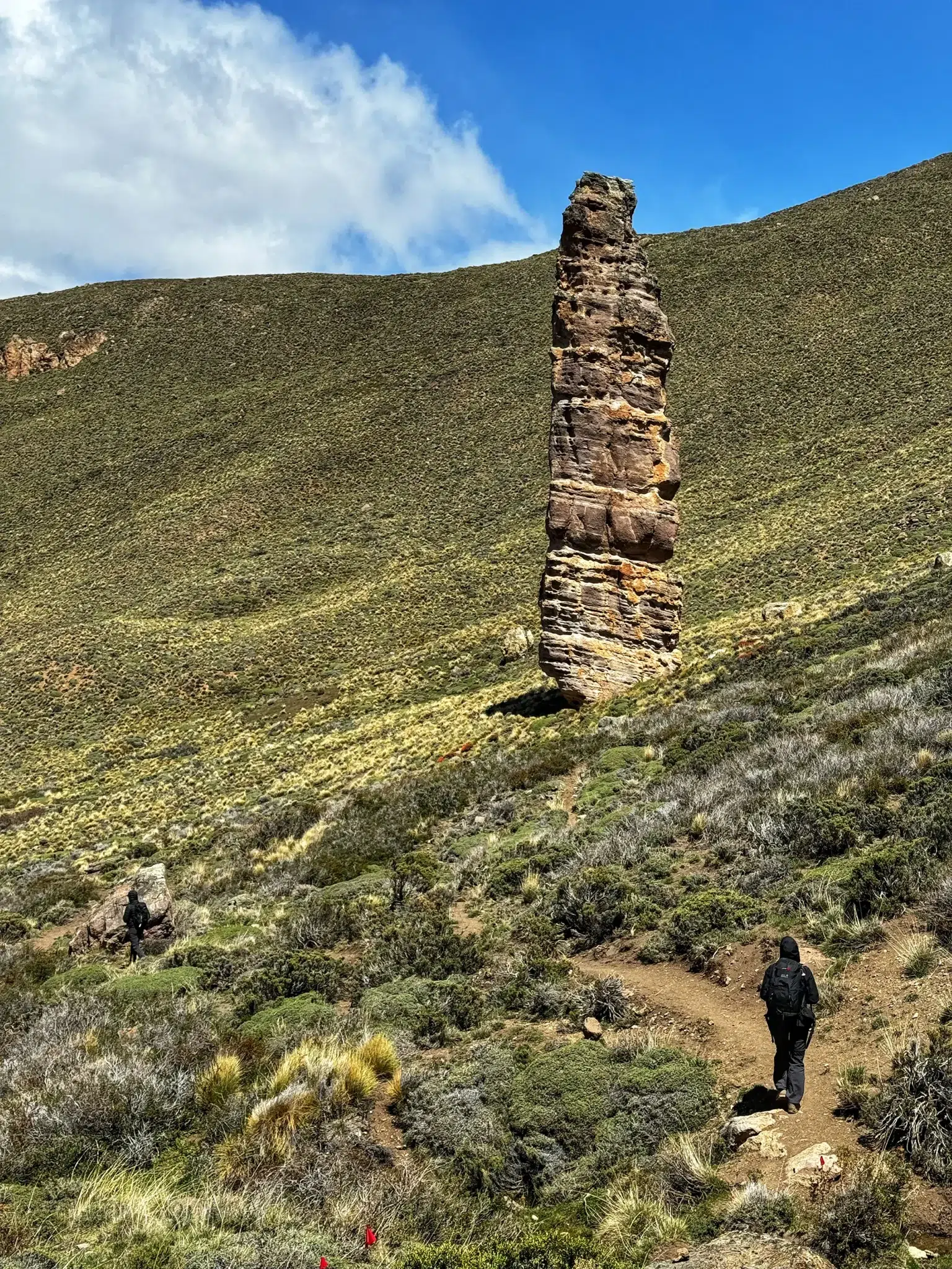 Carretera Austral, Chili - Parque Nacional Patagonia - Sendero Piedra Clavada