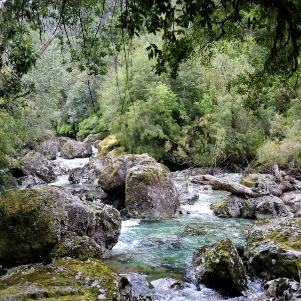 Carretera Austral, Chili - Parque Nacional Pumalin - Sendero Cascades