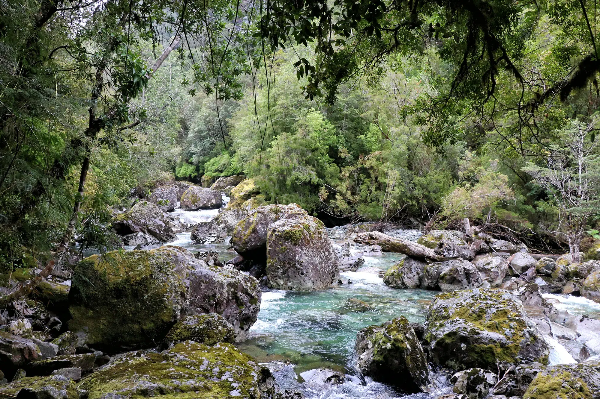 Carretera Austral, Chili - Parque Nacional Pumalin - Sendero Cascades