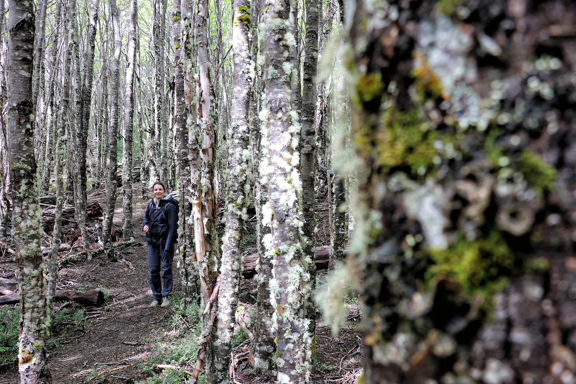 Carretera Austral, Chili - Reserva Nacional Coyhaique