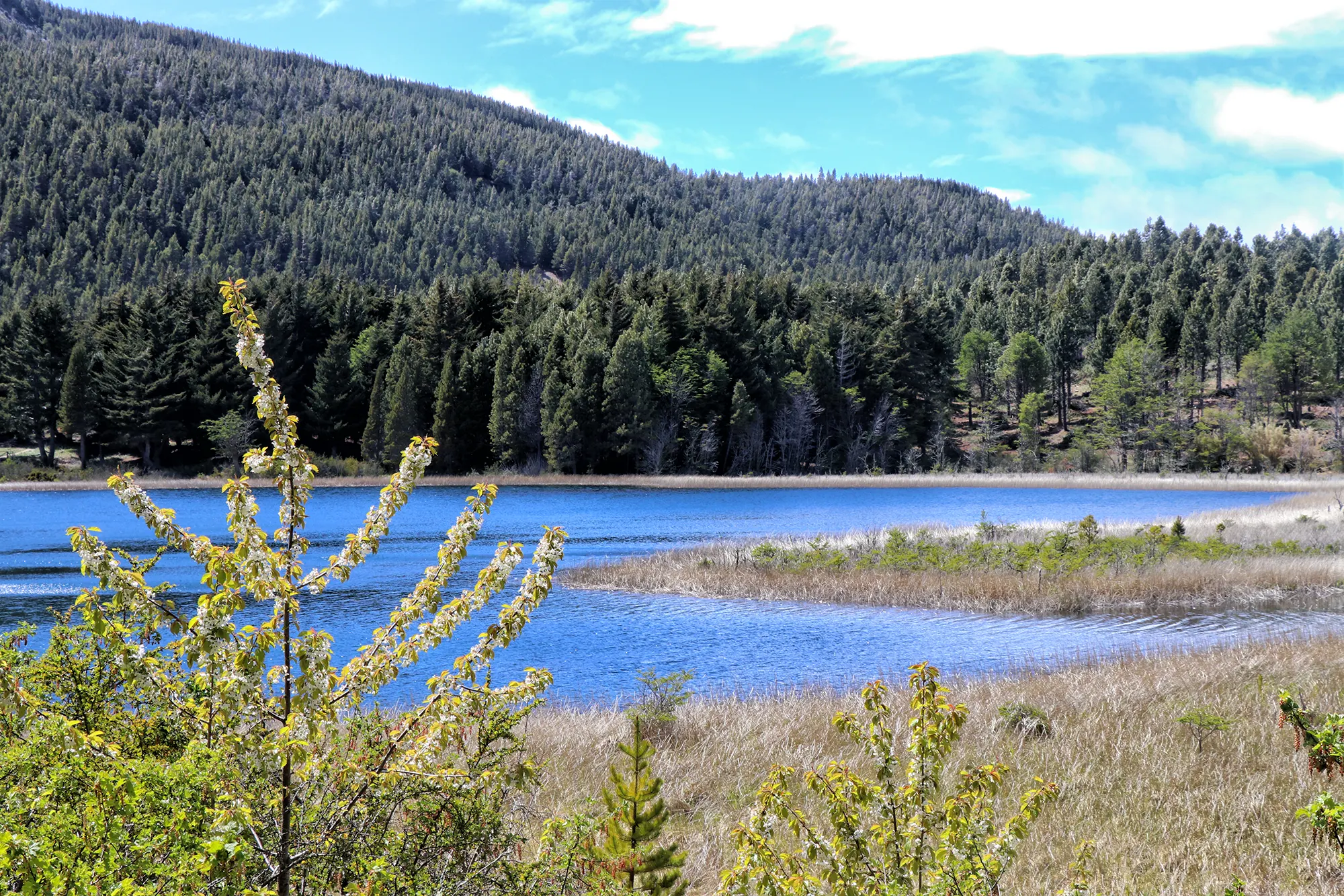 Carretera Austral, Chili - Reserva Nacional Coyhaique