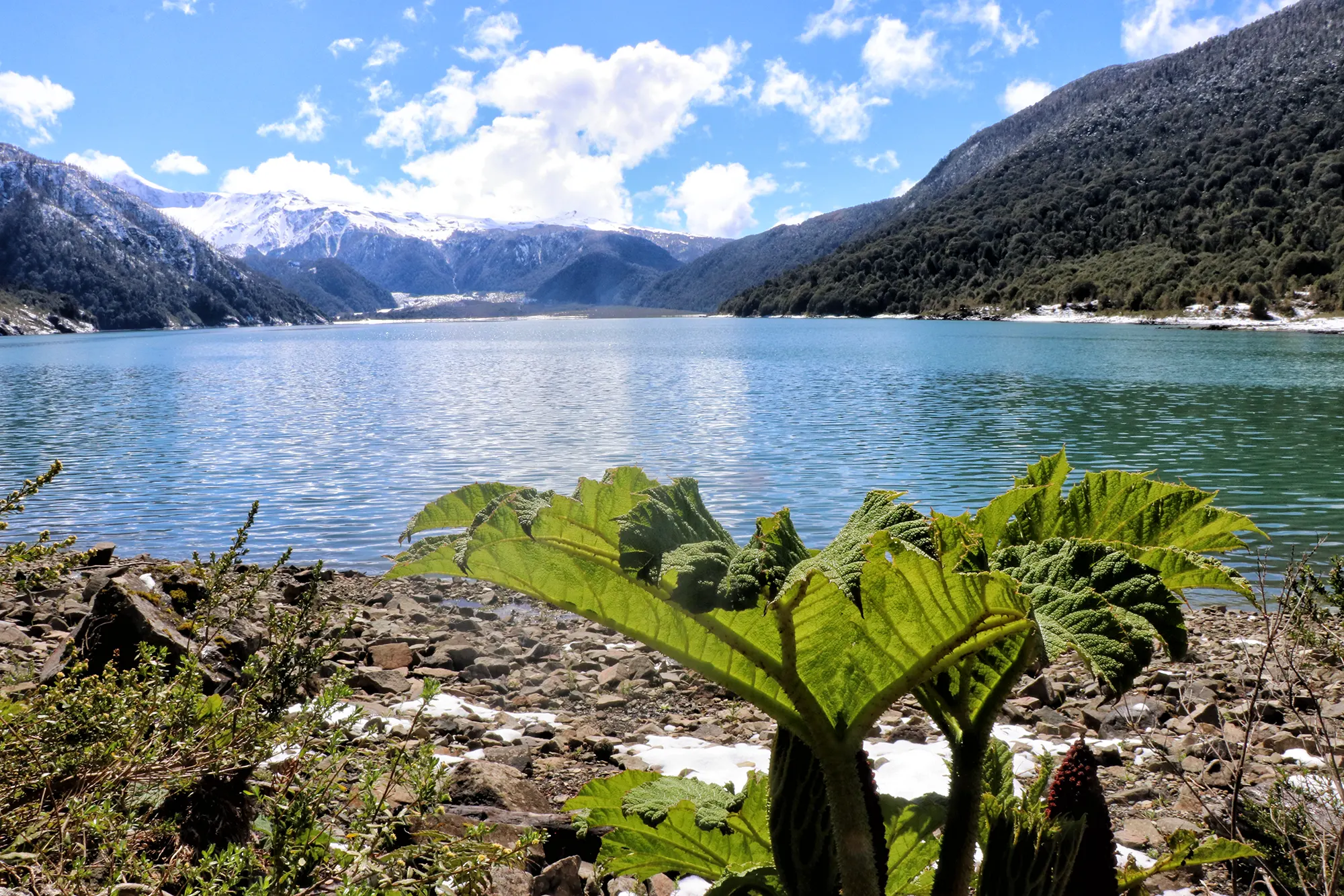 Carretera Austral, Chili - Sendero Laguna Cabrera