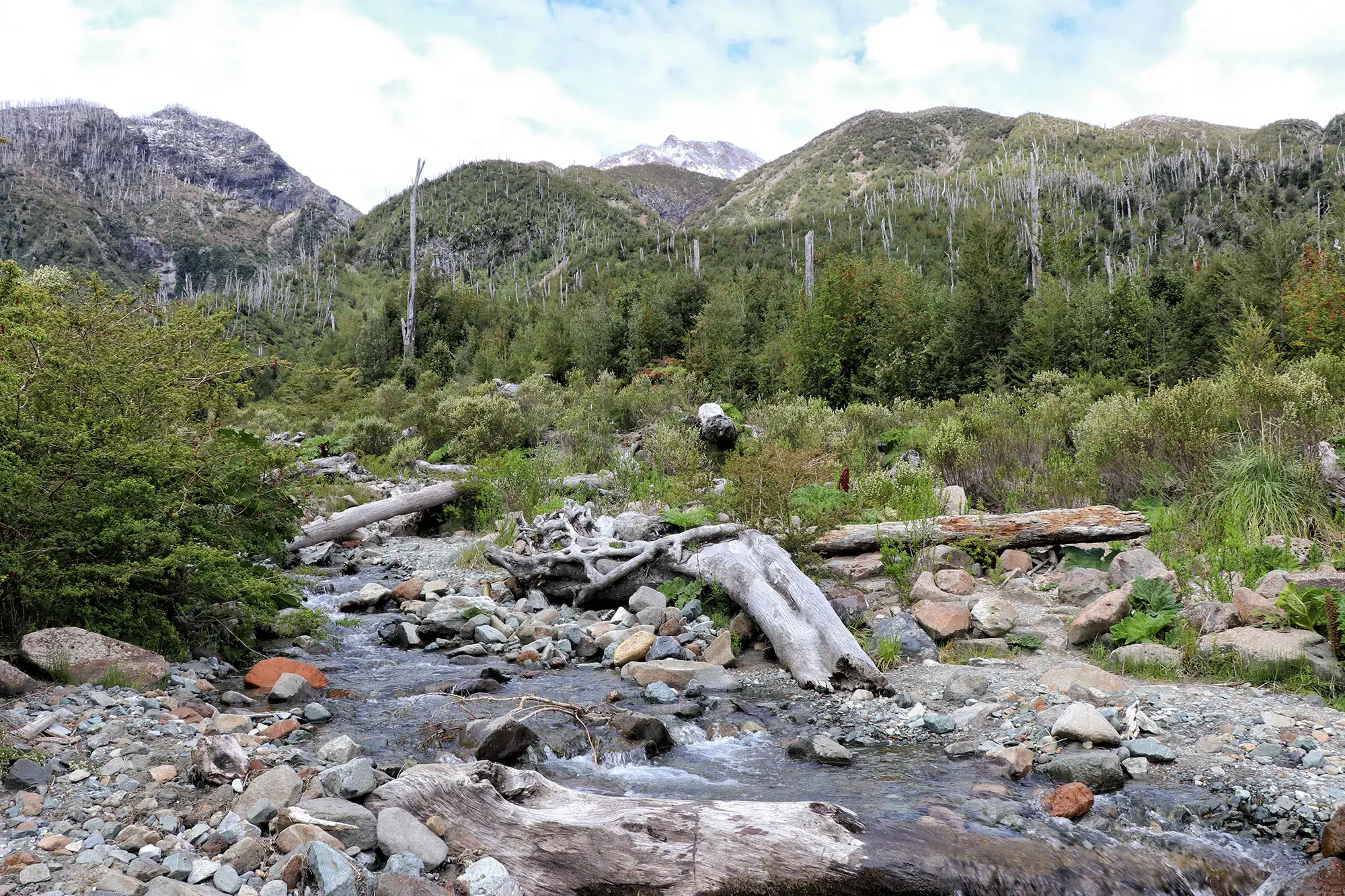 Wandelen in Patagonië: Sendero Volcán Chaitén