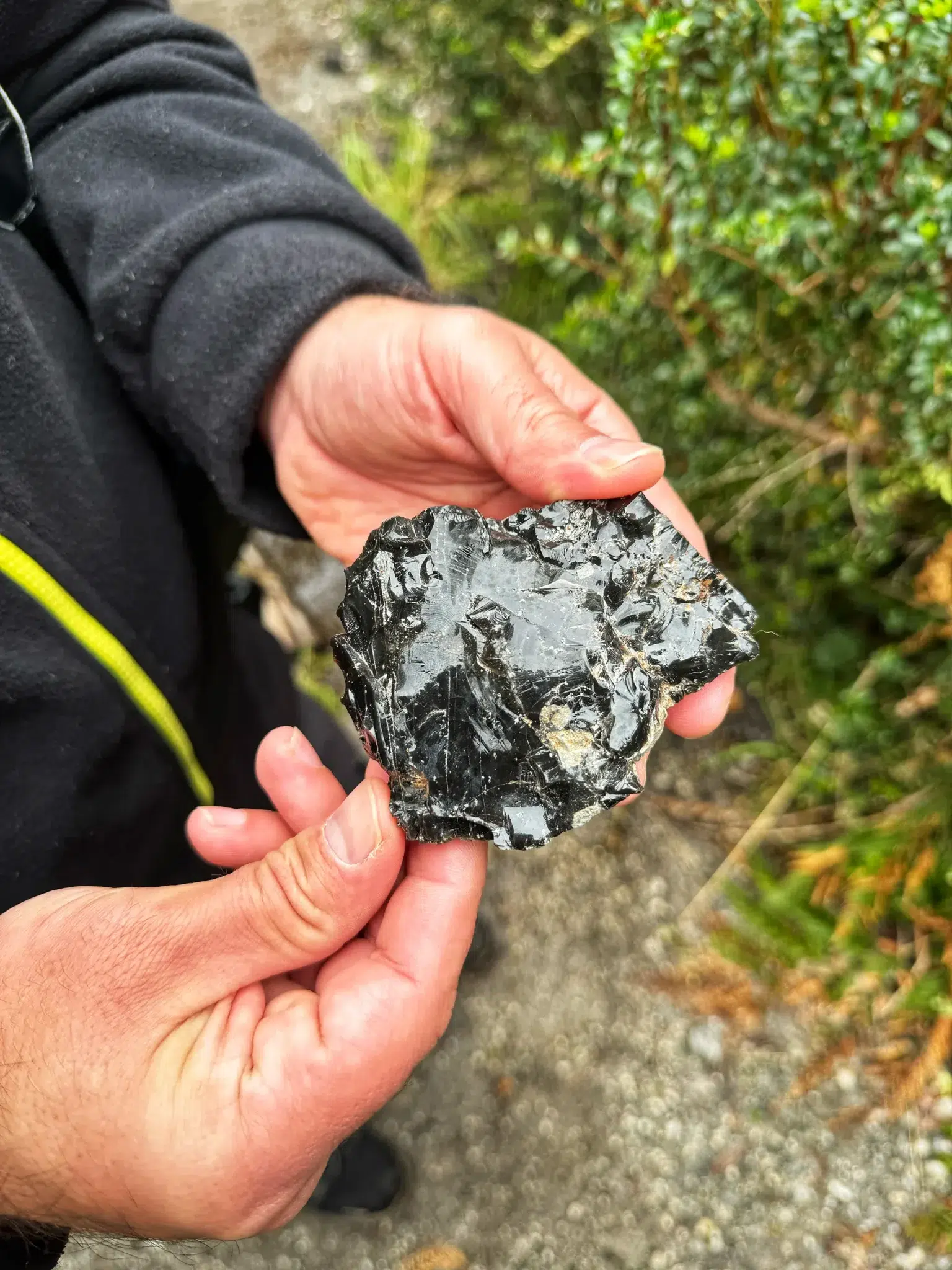 Wandelen in Patagonië: Sendero Volcán Chaitén